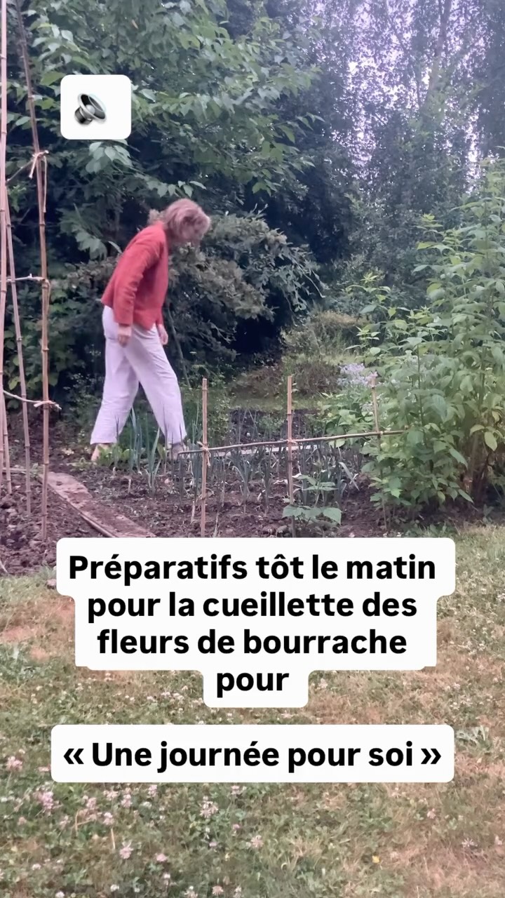 Quelle belle matinée, quelle fraîcheur ! Et quel bonheur d’être en vie ! Merci les oiseaux