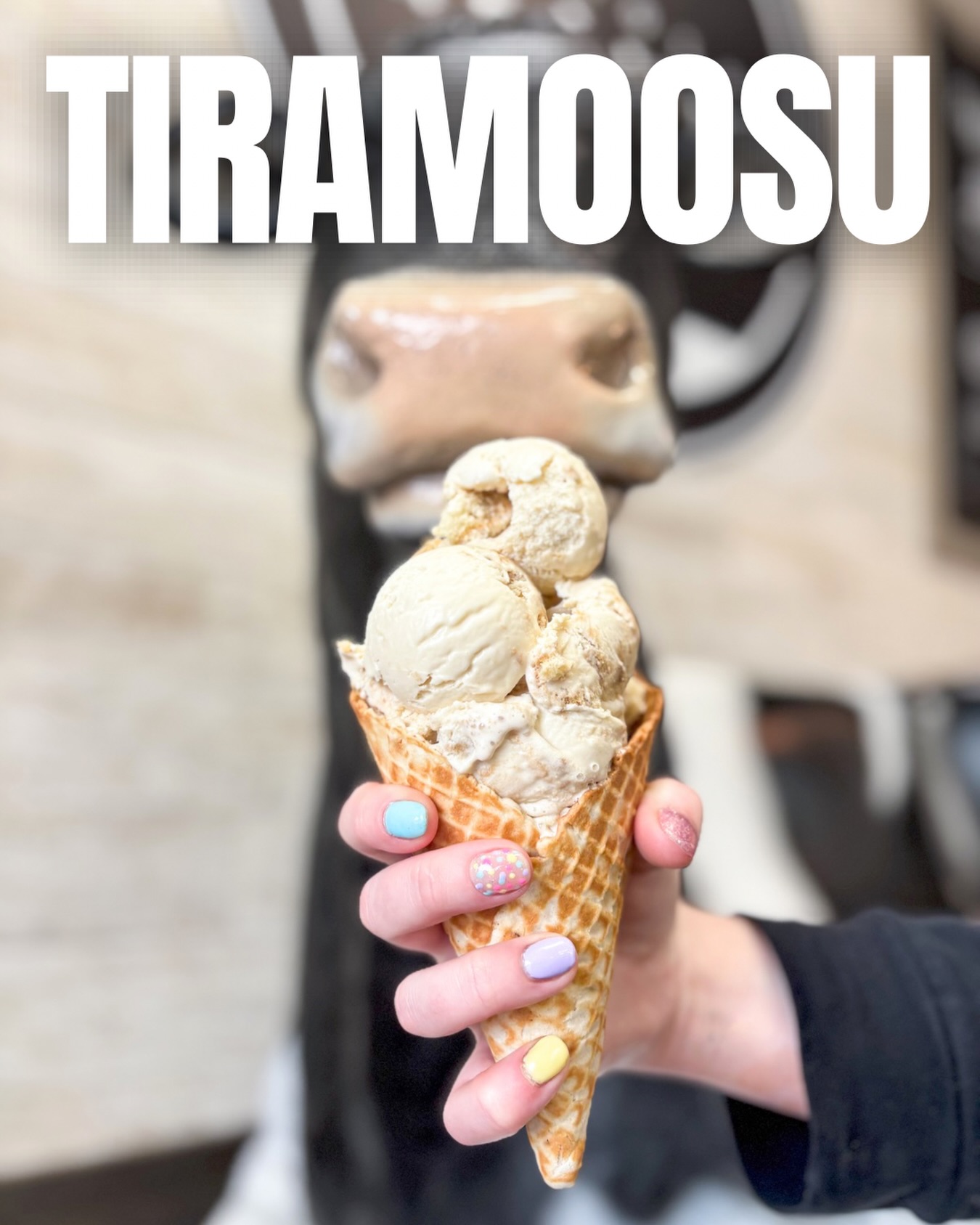 Love Tiramasu? Love HOMEMADE ice cream? Love made from scratch waffle cones? Well, consider your weekend plans ✔️’d because TIRAMOOSU is BACK, stocked and ready to rock!!
A HOMEMADE Mascarpone Coffee Ice cream with lady fingers and a big dash of cinnamon. Handspun and lotsa creamy... this flavor has us thinking we are sitting at an outside Italian cafe filled with pure amore 🫶🏻 🥰.
North Brunswick, Fair Haven, Tinton Falls, Wall, Middletown, Long Branch, and Atlantic Highlands are all open from 11am-10pm 7 days a week. Come grab a lil sweet treat!
#nicholascreamery #tiramisuicecream #smallbatchicecream