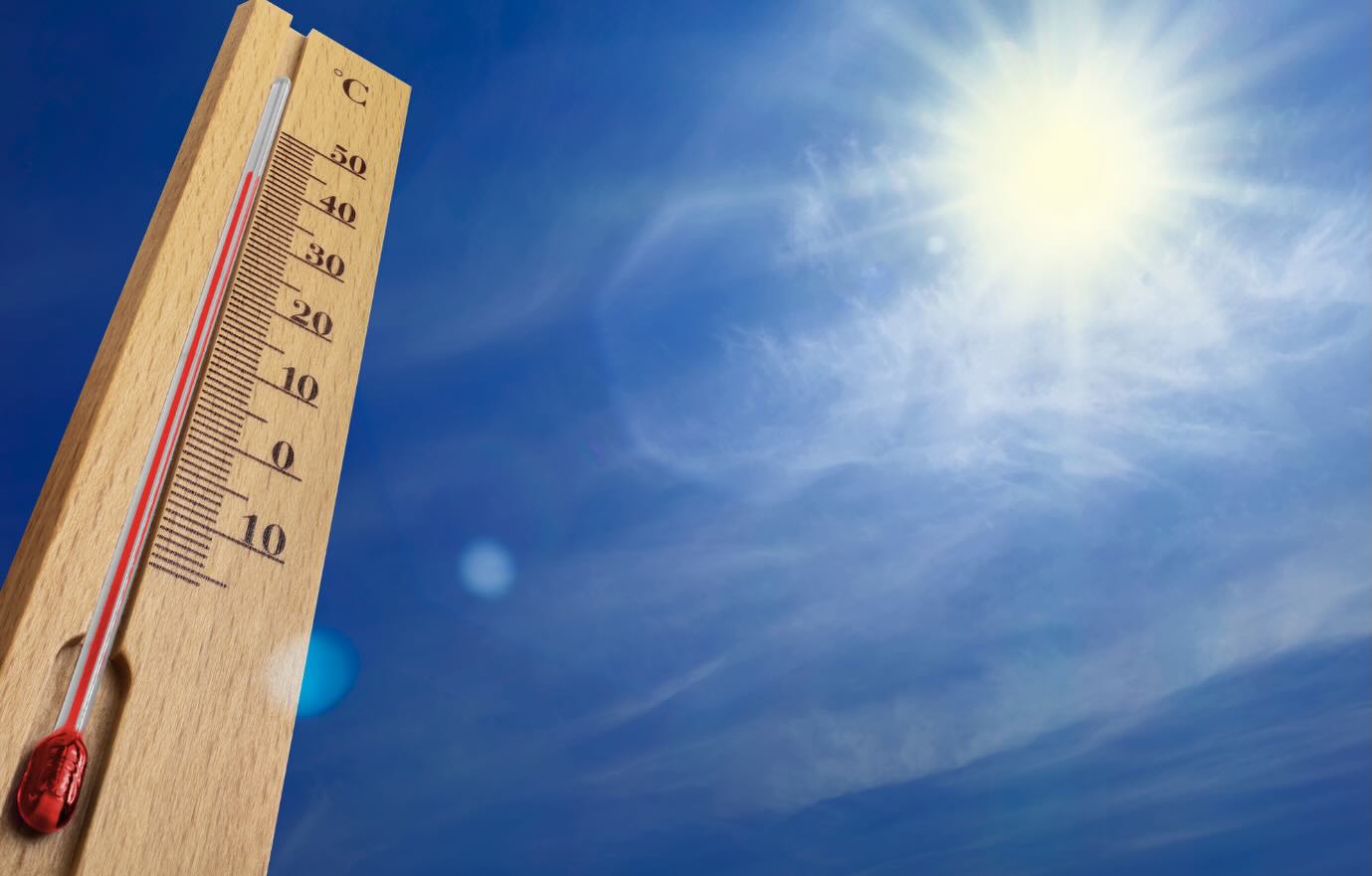 Feeling the heat, but still need to test your soil? 🌱☀️
Early mornings are the best time to take a soil sample. Sampling when UV levels are lower and the ground is cooler can help give a more accurate picture of your soil’s condition.🌍
#SoilHealth #SustainableGarden #SafeSoilUK