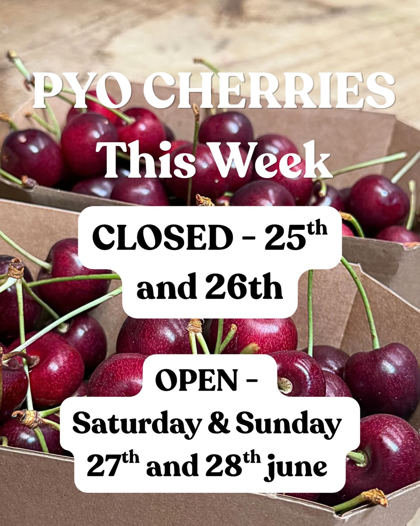 PYO CHERRIES this Saturday & Sunday 👇
⏱️ 10am -4pm
🎟️ No need to book
🐶 Dogs on leads welcome
🍺 The Loddington Tap open for drinks + food trucks 🍔
☕️ Kampa Coffee open behind our Farm shop
📍 Loddington Lane, Linton Kent
See you there! ☀️
#pyocherrieskent #kentpyo #kentdaysout #daysoutkent