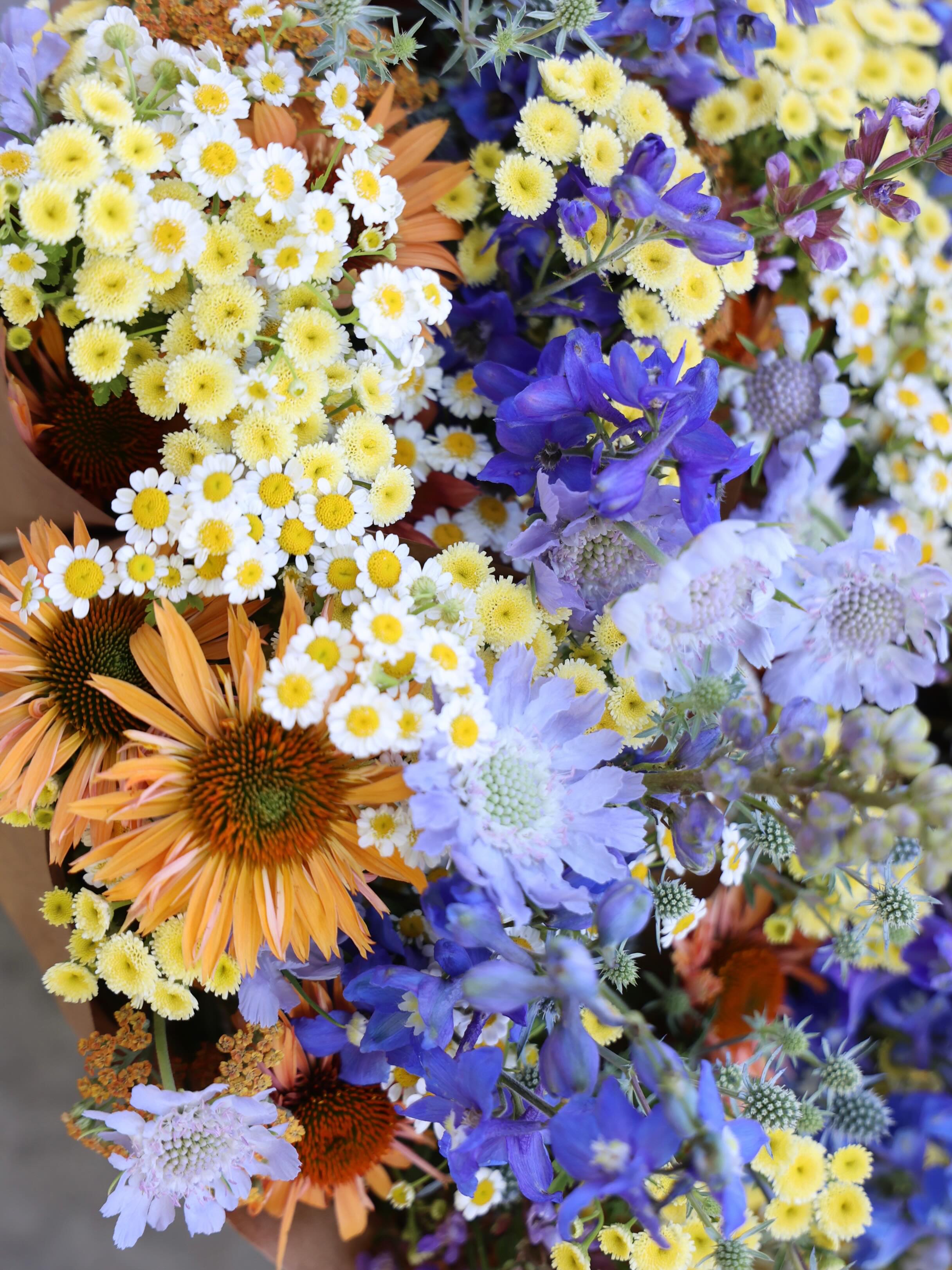 The Flower House is open and full of summer beauties! Lots of flowers, fresh garlic and greens from the garden, and our new sticker design!
Friday-Sunday
10-4