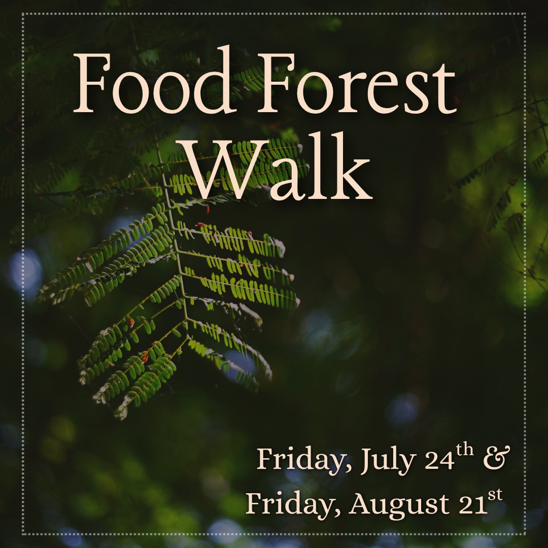 Join our Agroforestry Manager, Gabe for a walk through our emerging food forest! Learn about the budding trees, groundcover plants and what the future of the forest will look like! 🌳
Click the events and workshops link in our bio to sign up!