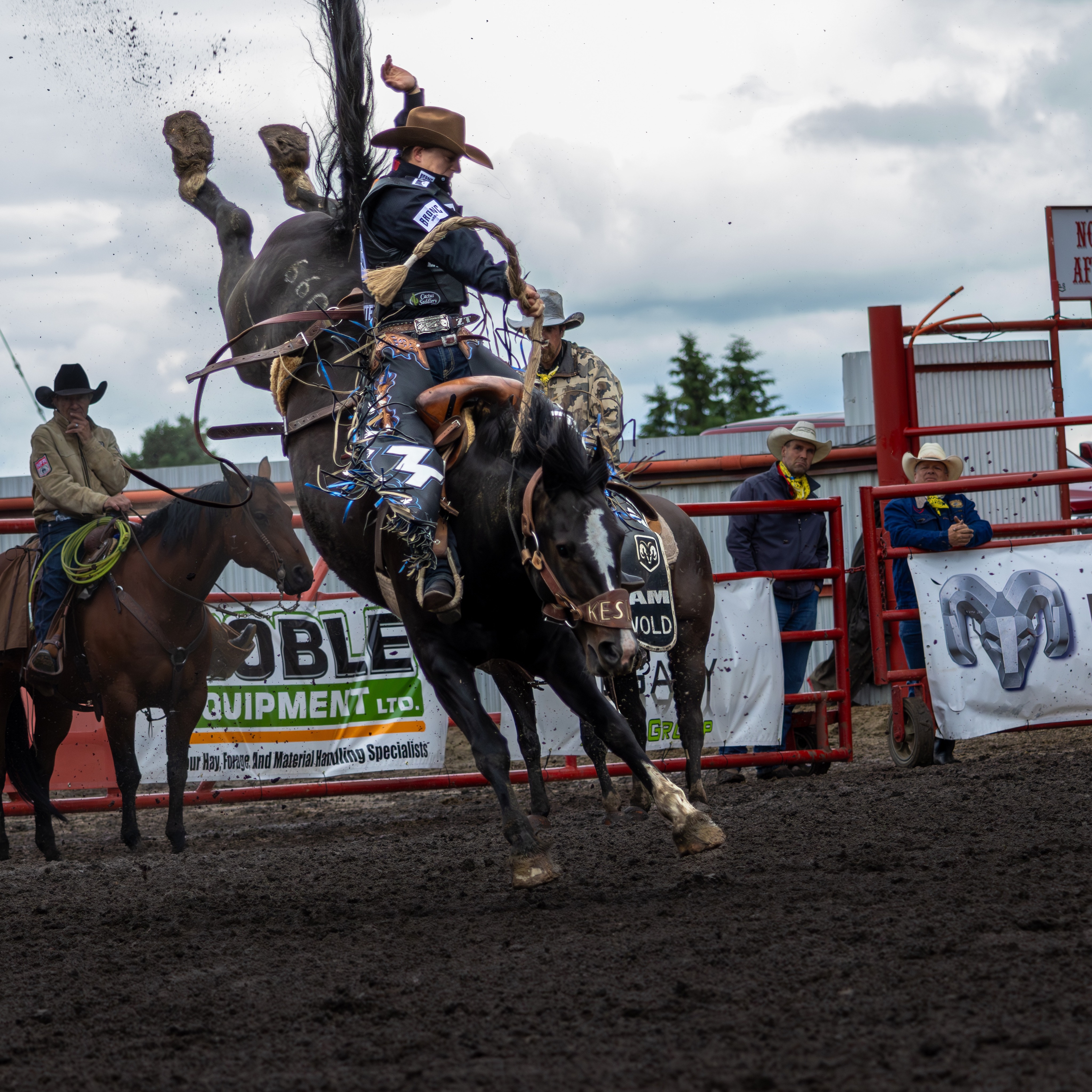 There is no shortage of talent at this year’s Ponoka Stampede!!
Photographed are some of competitors and winners I interviewed at CFR51.
•
©StableInstincts. Shares are welcomed but Unauthorized use or reproduction of these images is strictly prohibited.
#rodeo #ponokastampede #saddlebronc #teamroping #steerwrestling