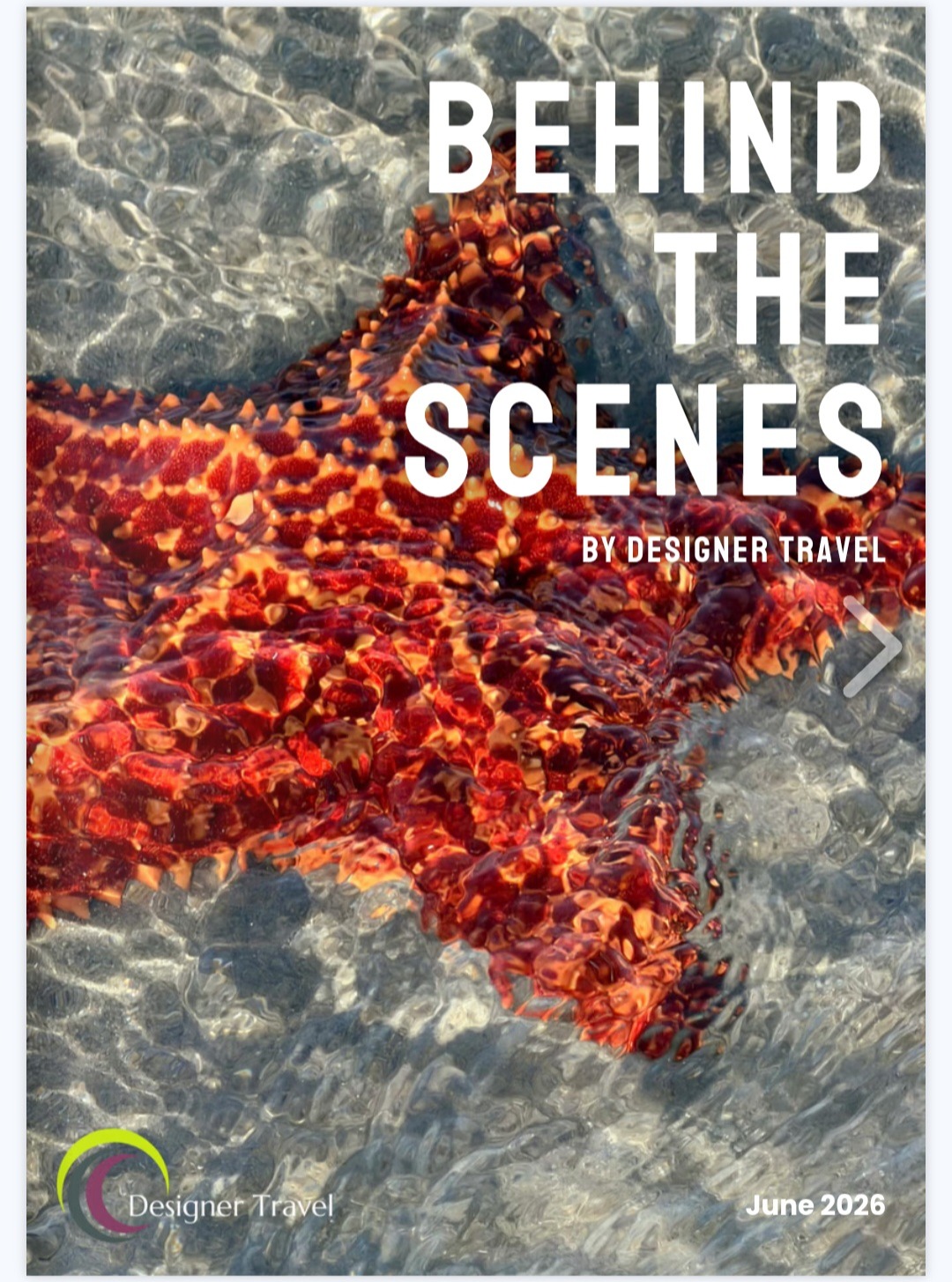 "The new Designer Travel magazine is out and it's a good one! ☀️
Families, Florida, Turkey, cruising and sustainability tips - something for everyone this month. I recently visited Turkey with the team and really enjoyed it.
Link in bio to read the full issue.
Anything inspire you? Just get in touch! 😊"
SJP x🌞
#supportlocalbusiness #personaltraveladvisor #professionaltravelexpert #travelexpert #independenttravelagent #luxurytravelexpert #northamptonshirebusiness #thrapston #oundle##sjpholidays#oundlelife#titchmarshvillage