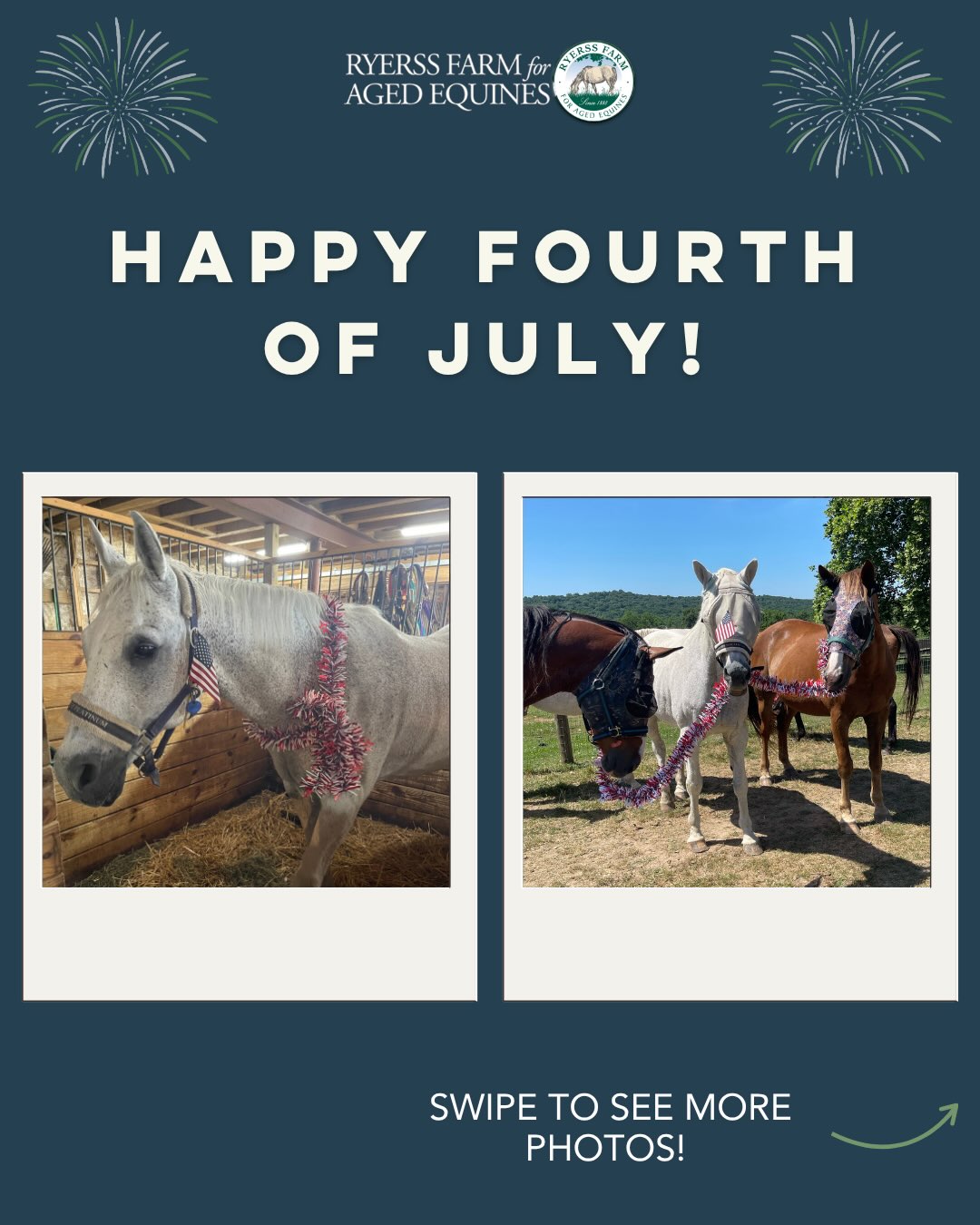 Happy Fourth of July from Ryerss Farm! 🐴🎉 Our residents are feeling extra festive today! We hope these patriotic faces brighten your holiday.
Looking for a fun, family-friendly outing? Visit us at no cost today or tomorrow from 10 AM to 4 PM! As our Main Barn renovation is underway, we’re currently open only on weekends through September.
We hope you’ll stop by this holiday weekend!