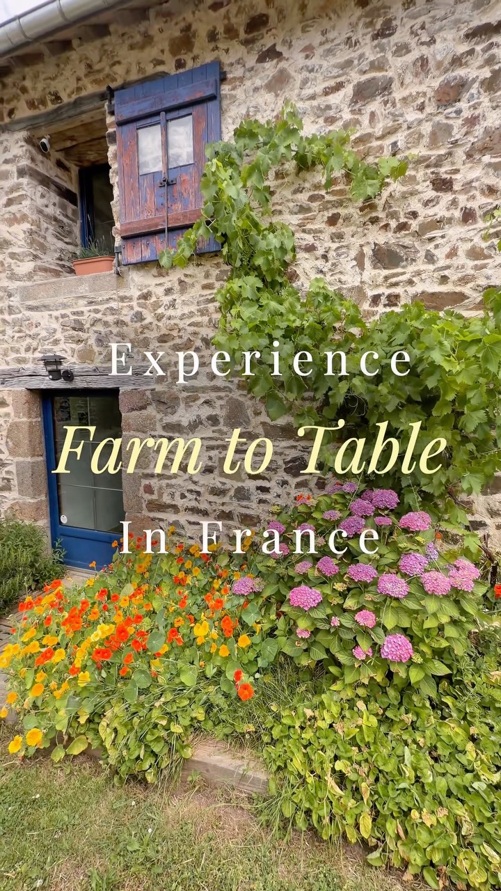 Close your eyes and imagine this…
You’re surrounded by the beauty of the French countryside. Fresh vegetables are growing just steps from the kitchen. The gardens are alive, the farm is buzzing, and the aroma of a fire-roasted welcome meal drifts through the air.
This is where your culinary adventure begins.
Not in a classroom, but in nature. Not with a cookbook, but with the people, the produce, and the traditions that make French cooking so special.
Every path you walk, every ingredient you pick, and every dish you create brings you closer to the true meaning of farm to table.
And this is only the beginning. 🌾🍷🍅