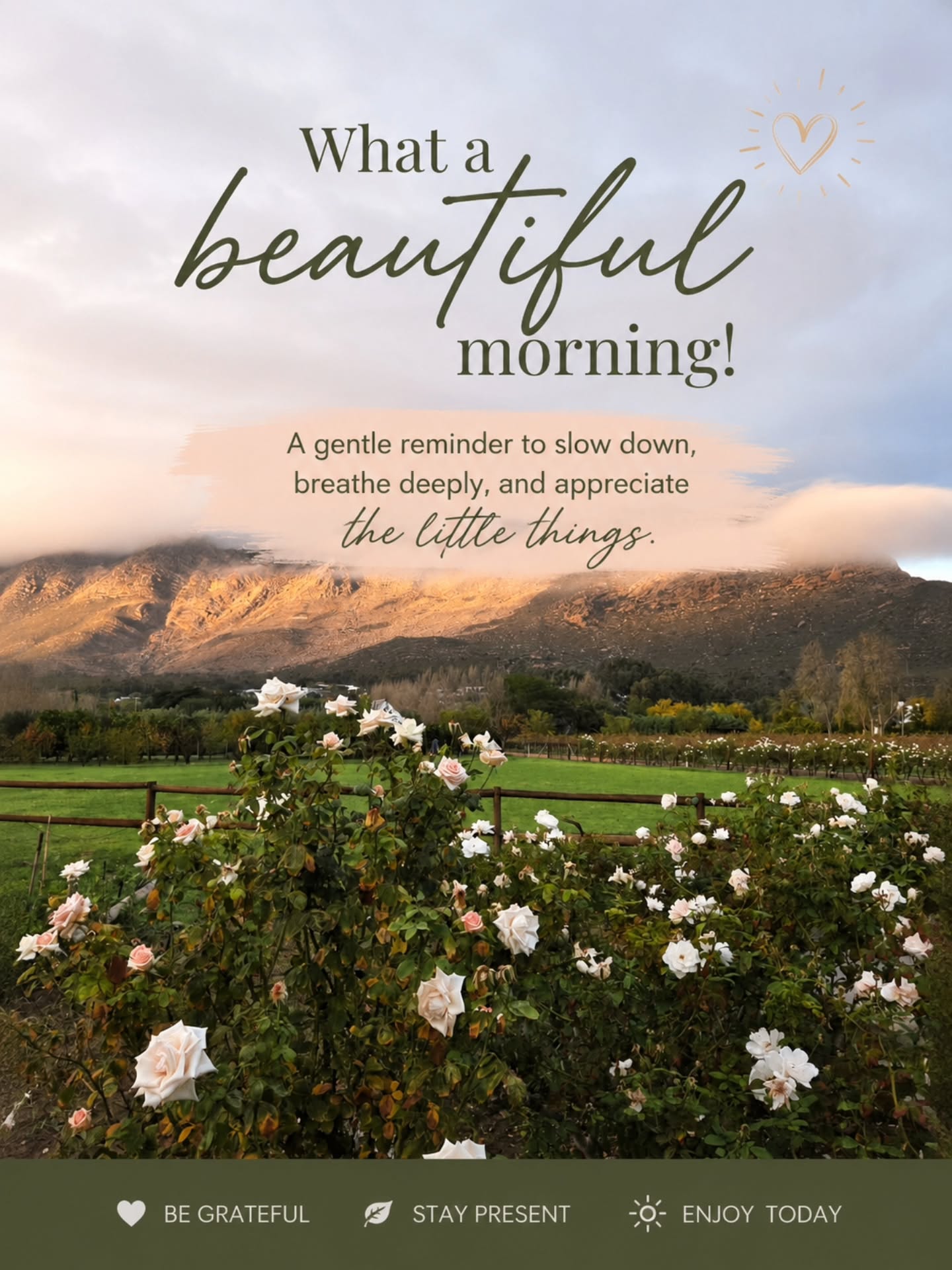 It's a good morning.......❣️
#Kleinnektar #goodmorning #RobertsonWineValley #selfcateringaccommodation #FarmEscape