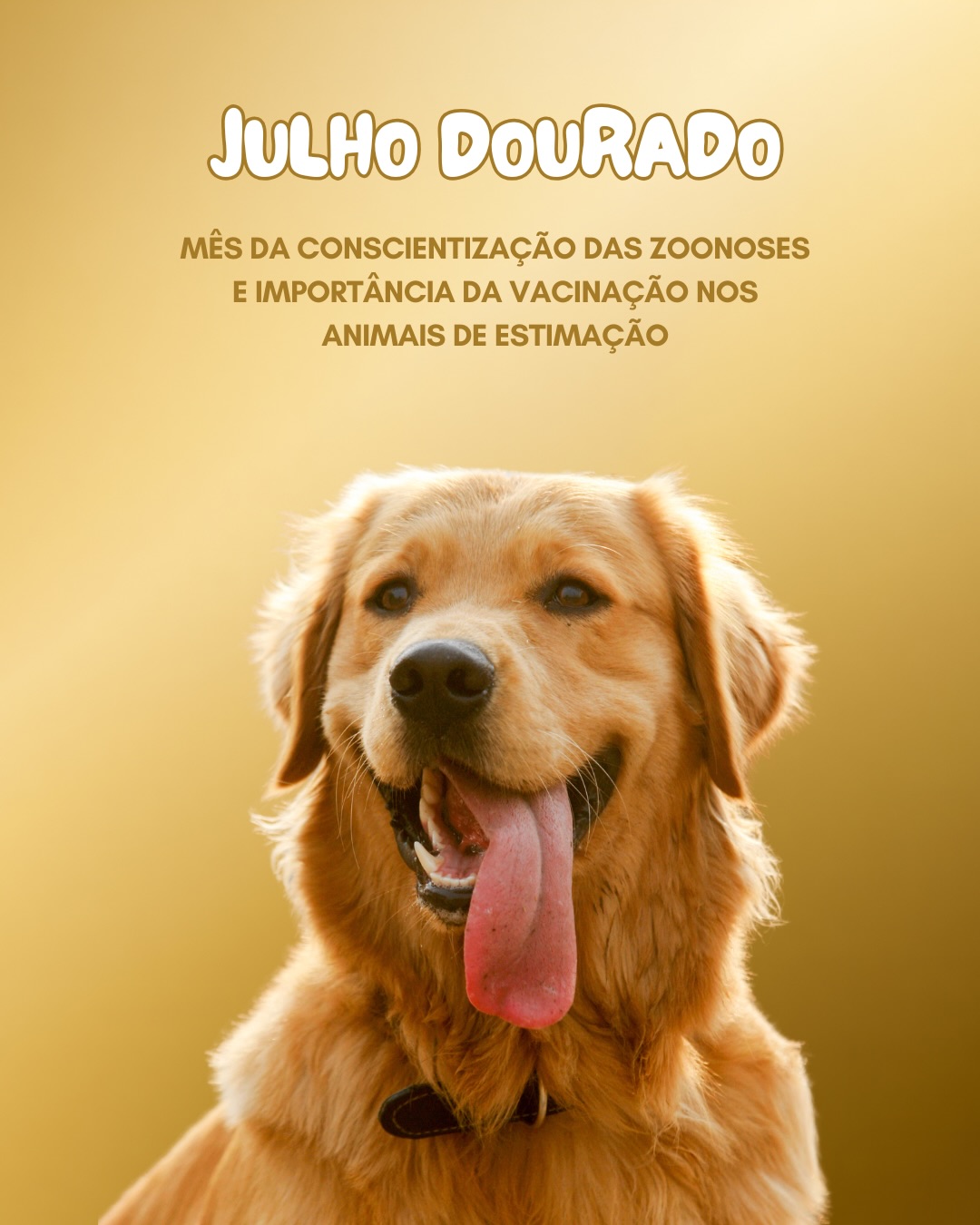 As zoonoses fazem parte de um grupo de doenças que reforçam a conexão entre a saúde animal e a saúde humana. 🎗️💛
A transmissão pode acontecer de diferentes formas e, muitas vezes, está associada a fatores que podem ser prevenidos com acompanhamento adequado.
Vacinação, controle de parasitas, higiene e consultas regulares são pontos essenciais para reduzir riscos e garantir uma convivência mais segura.
Mais do que um cuidado com o pet, é uma medida de proteção coletiva. 🎗️
📍 Petplace
Cuidado completo, em todos os detalhes.
#JulhoDourado #Zoonoses #SaúdeAnimal #Petplace #MedicinaVeterinária