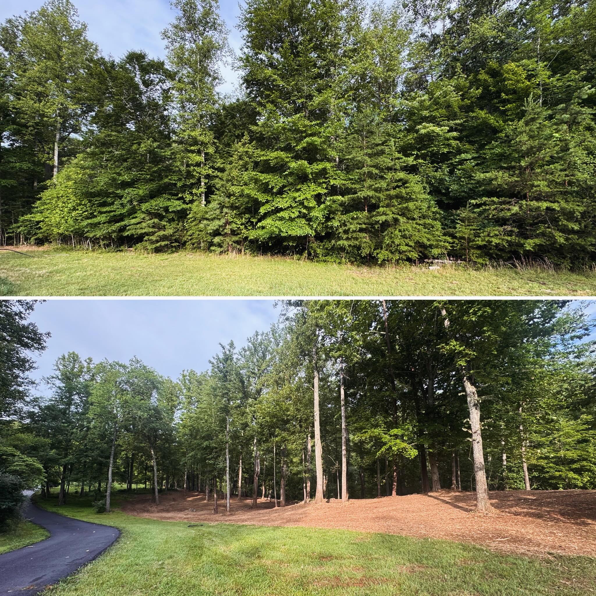 Sometimes the biggest transformations aren’t about removing trees - they’re about revealing them. 🌲
We cleaned up this overgrown driveway entrance by removing invasive brush, saplings, and undergrowth while preserving the mature hardwoods. The result is a cleaner, more open property with improved visibility, easier maintenance, and a park-like feel.
A little selective clearing goes a long way. #GoldenLandworks #ForestryMulching #LandClearing #PropertyTransformation #DrivewayEntrance