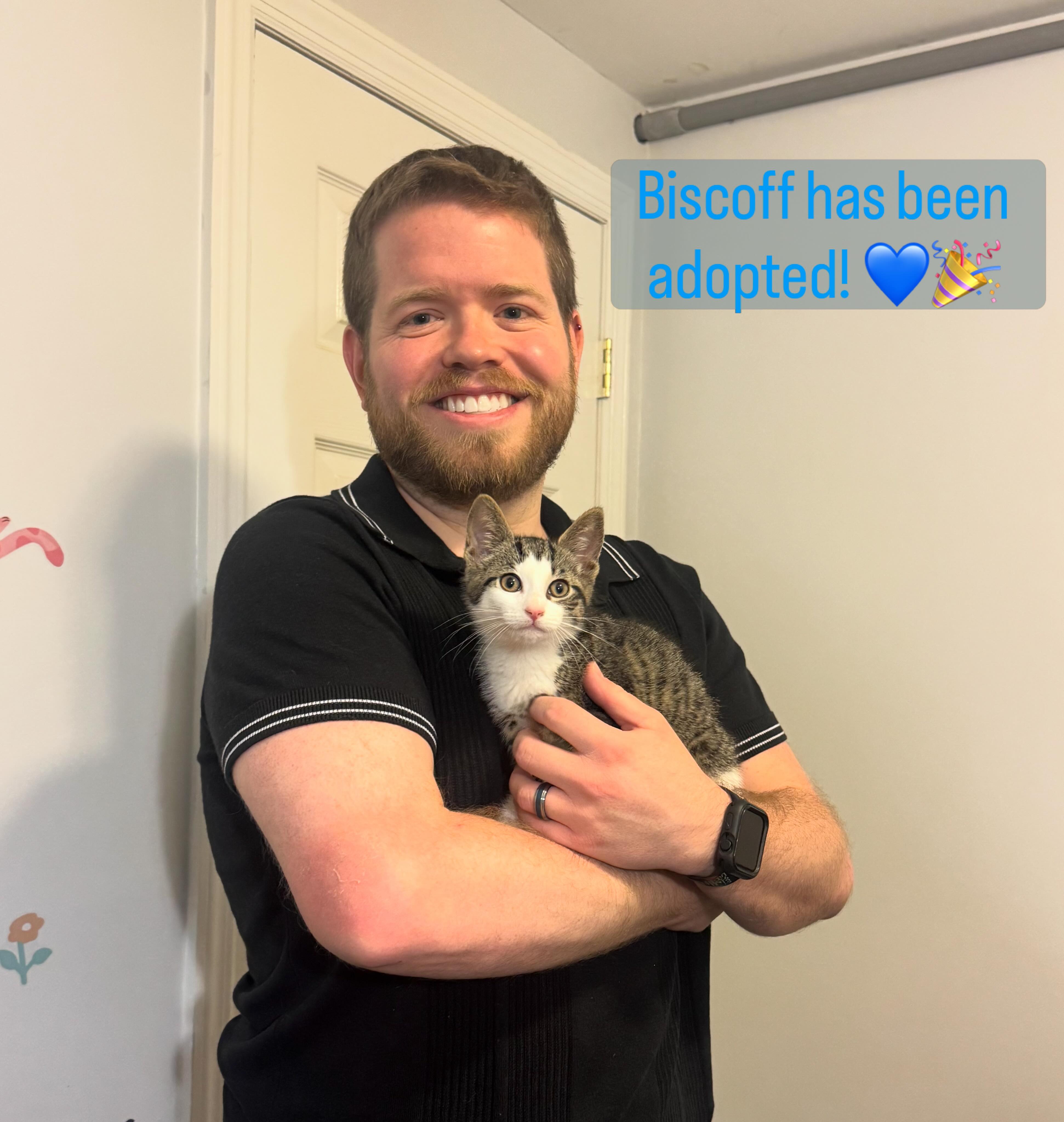 Sweetheart kitten Biscoff has been adopted and will have a new kitten brother to grow up with! We are so happy for him and his new family 💙
#animalsindistressnj #adoptablecats #cats #mercercountynj #adoptme