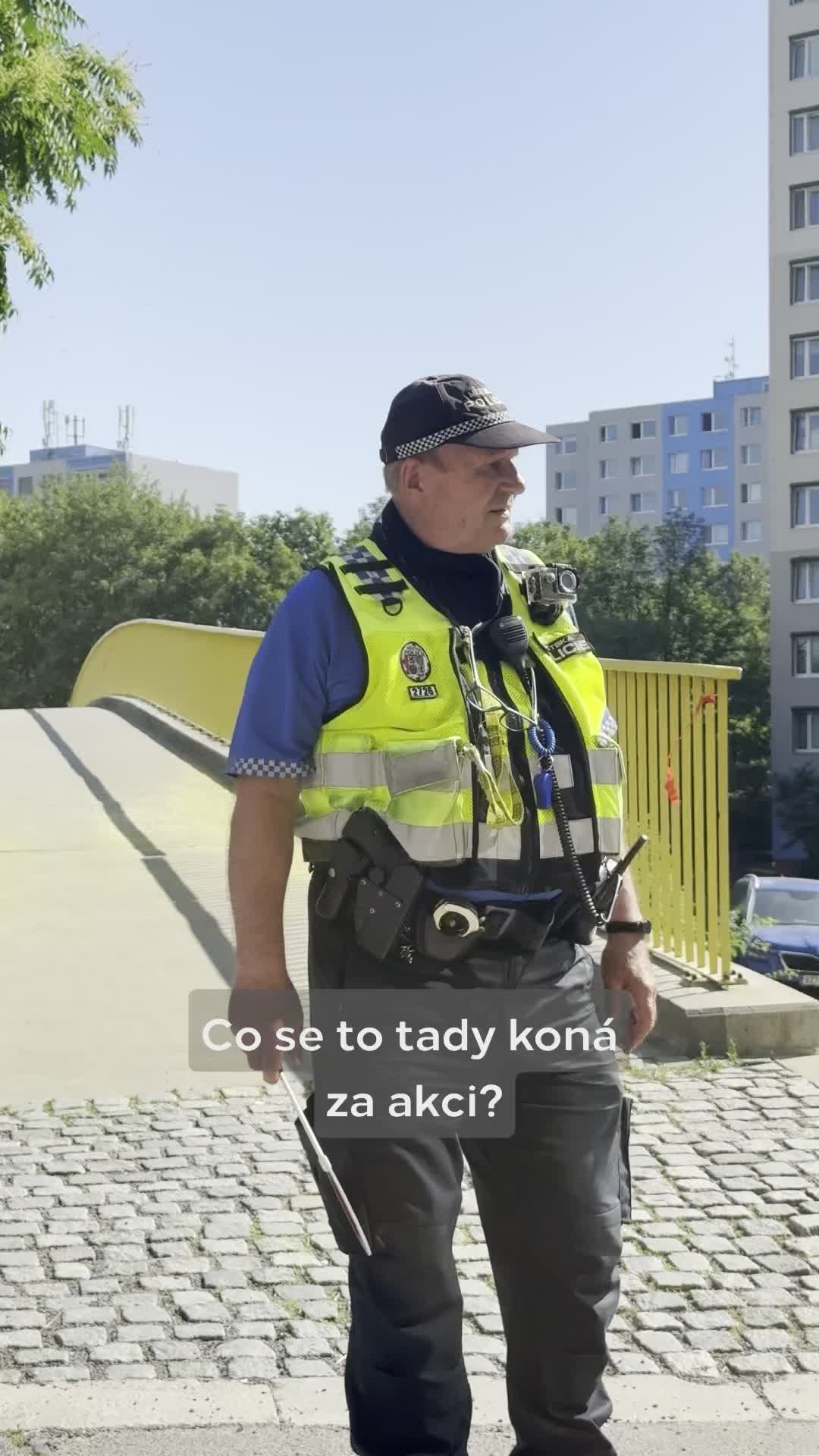 Pan policista by n