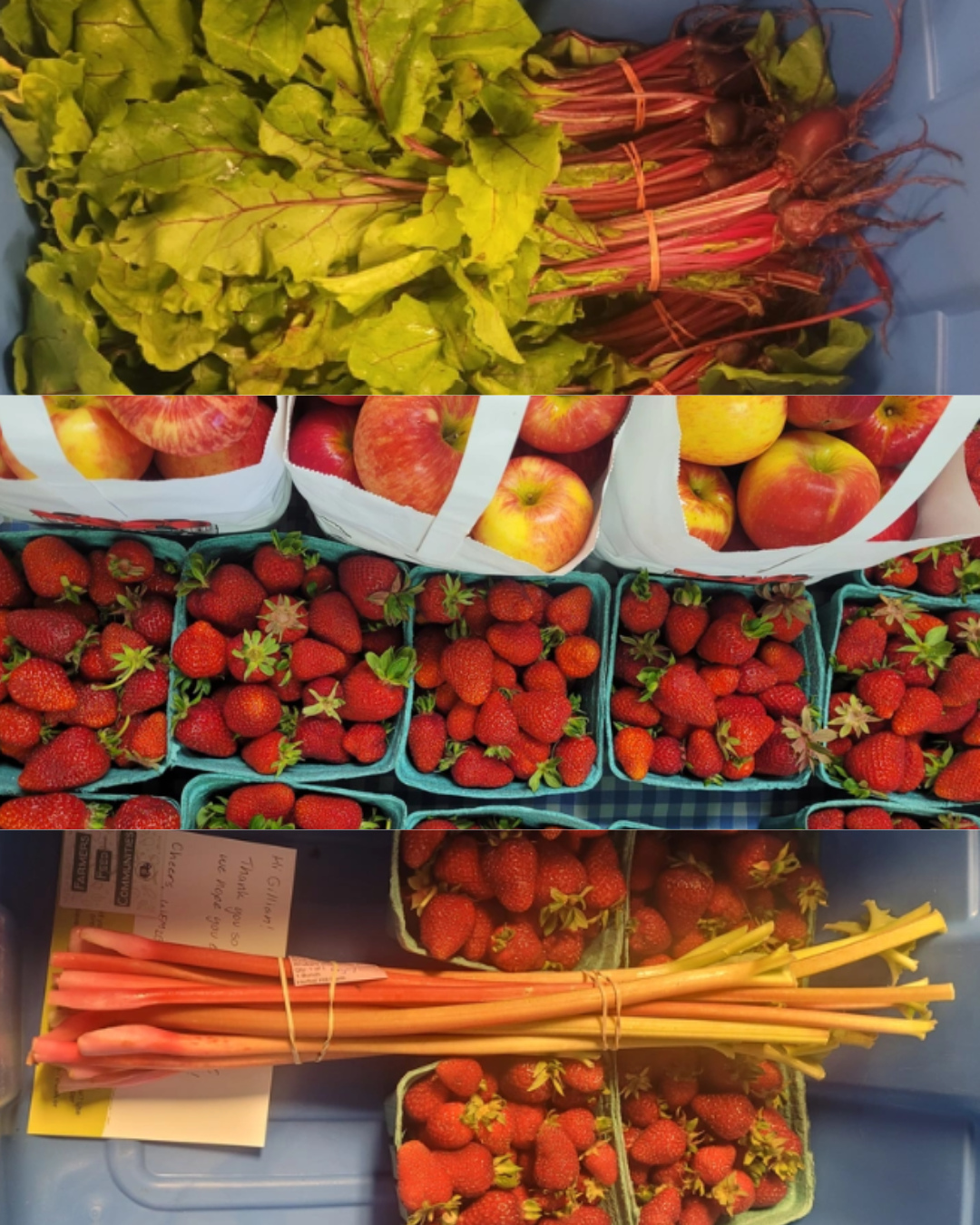 Ordering for next week is now open!!🍓🌳🌱✨️🌻🥒🍎
Summer produce is becoming abundant in the Annapolis Valley, check out our weekly selection of local valley produce at wfm2go.ca!☀️🌷
Ordering closes Monday at 7 pm, be sure to confirm your carts and use code NSLOYAL10 for 10% off your orders!!
Highlighted products this week include:
🌱Strawberries, Cilantro, Dill, Chives and Arugula from What on Earth Farm
🌱Strawberry Jam, Garlic Scapes, Parsley, Strawberry Lavender and Hot Peppers from Herbal Hill Farm
🌱Green Onions from Longspell Point Farm
🌱Potatoes, Carrots, and Beet Greens from Elmridge Farm
🌱Lamb Shanks from Cape View Farms & Sons
🌱And much, much more!✨️
#wolfvillefarmersmarket #wolfville #annapolisvalley #novascotia #farmersmarket #wfm2go #shoplocal #eatlocal #buylocal #supportlocal #freshproduce #community #letsdothis
