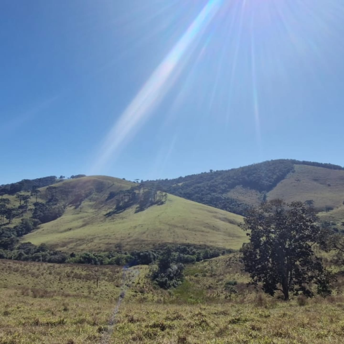 6⁰ dia no Caminho da Fé, com paisagens deslumbrantes e muita comemoração de mais um aniversariante. Viva! Viva! Amanhã tem mais. 👏👏👣🥾🤗🥂😘@luiz_guia_jacutinga