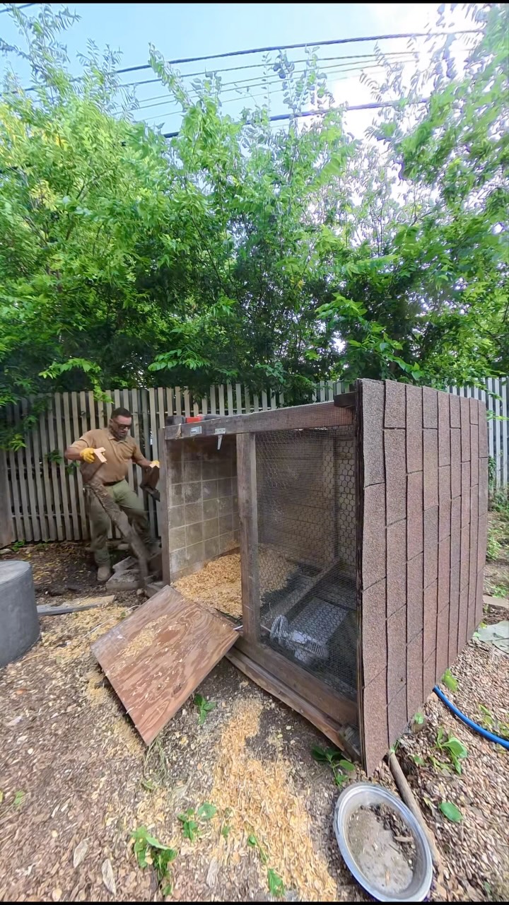 Pre-Fourth of July stairs to nowhere and chicken coop removal.