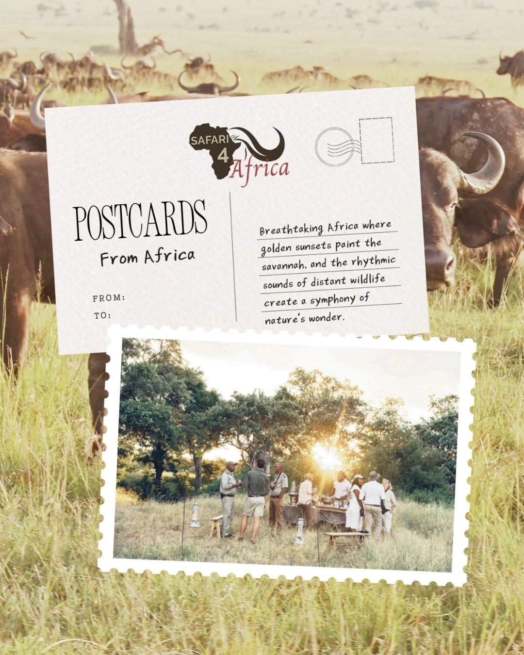 Discover Southern Africa with Safari4Africa - specialists in crafting personalized luxury safaris and tours with over 30 years of experience.
#Safari4Africa #Safari
#LuxuryTravel #LuxurySafari #BespokeTravel #ExclusiveTravel
#SafariExperience #AfricanSafari #WildlifeTravel
#SouthernAfrica #ExploreAfrica #AfricaTravel #VisitAfrica #SafariAfrica
#LuxuryLodge #SafariLodge #LuxuryCamp #FiveStarTravel
#InstaTravel #TravelInspiration #LuxuryEscapes
#krugernationalpark #capetown
#southafrica
#namibia
#botswana
#zimbabwe