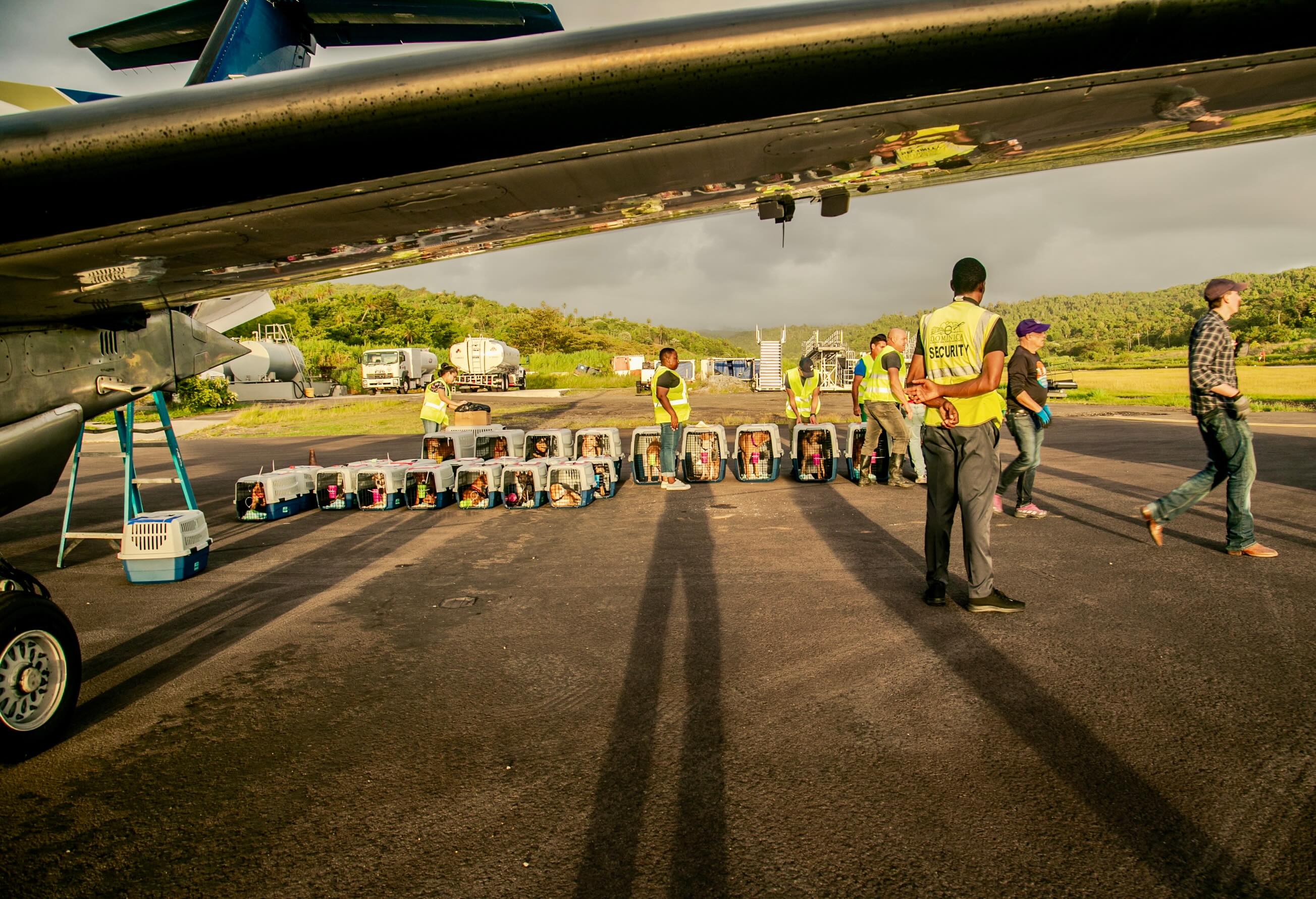 Some missions stay with you forever.
This past week, Wings of Rescue had the privilege of working alongside @stnicholasvet and @st_nicholas_animal_rescue in Dominica to transport 120 dogs and cats from one of the most challenging animal welfare environments in the Northern Hemisphere to partners ready to give them the opportunities they deserve.
Their words say it better than we ever could:
“At times, the challenges seemed insurmountable. There were moments when we wondered how we would overcome the obstacles before us. But with your support, dedication, and belief in this mission, a dream years in the making has finally become a reality.”
“Most importantly, we send our love to every dog and cat who boarded that flight. Some waited many months, and some waited years for this opportunity. Watching them begin their journey to safety, love, and forever homes is a moment we will never forget.”
To our incredible partners in Dominica, thank you for never giving up on these pets. It was an honor to stand beside you and help make this moment possible.
Learn more about our mission: LINK IN BIO 🔗
#LetTheFurFly