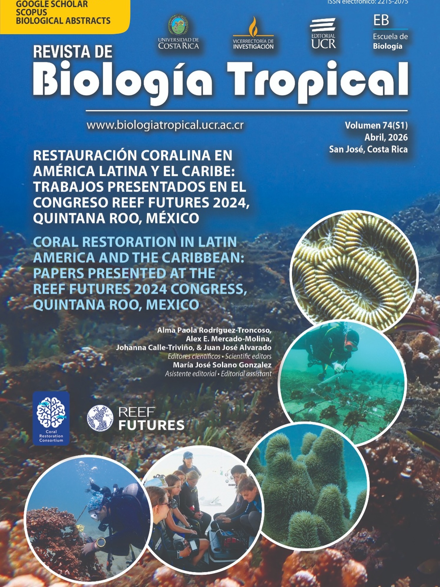 A big congratulations to the CRC’s Latin America/Caribbean and Eastern Tropical Pacific Regional Groups!
We are thrilled to celebrate the publication of this special issue in Revista de Biología Tropical, showcasing selected contributions from Reef Futures 2024, held in Quintana Roo, Mexico!
The volume is a testament to the incredible growth of coral restoration science and the community across these regions! This supplement helps close a critical gap, bringing visibility to projects led by universities, NGOs, research centers, and community groups that have often gone undocumented in peer-reviewed literature.
This collection pushes the science forward, not just on coral restoration techniques, but on the governance, community stewardship, and resilience-based approaches needed to restore entire reef ecosystems.
Collaborative efforts like this one are exactly what’s needed to turn regional knowledge into global impact. The CRC is proud to support these two Regional Groups and is so excited to see what they do next!
Thank you to every researcher, practitioner, and community partner who made this possible. ¡Felicidades! 🎉
Find the special issue at the link in our bio!
#CoralRestoration #RF24 #MarineConservation #LatinAmerica #CaribbeanReefs
