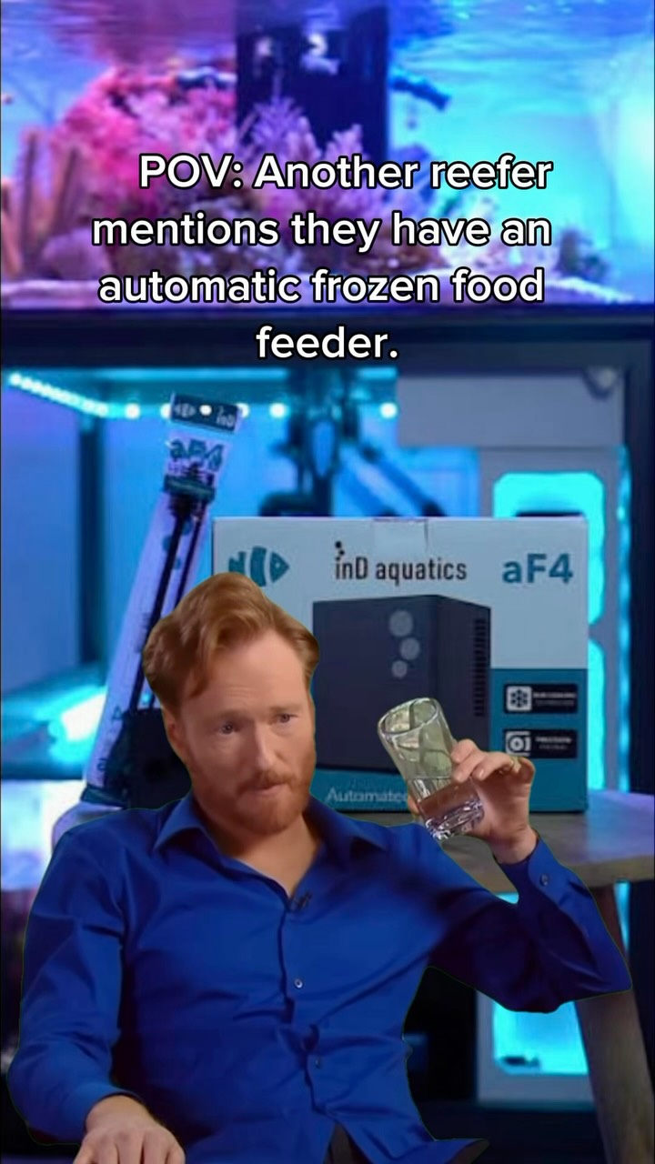 The IND Aquatics AF4 Auto Feeder is now in stock! 🤖🐠
Feed your fish their favorite frozen foods automatically, whether you’re home, at work, or away on vacation. #reeftank #aquariumhobby #fishtank #reefaquarium #coral