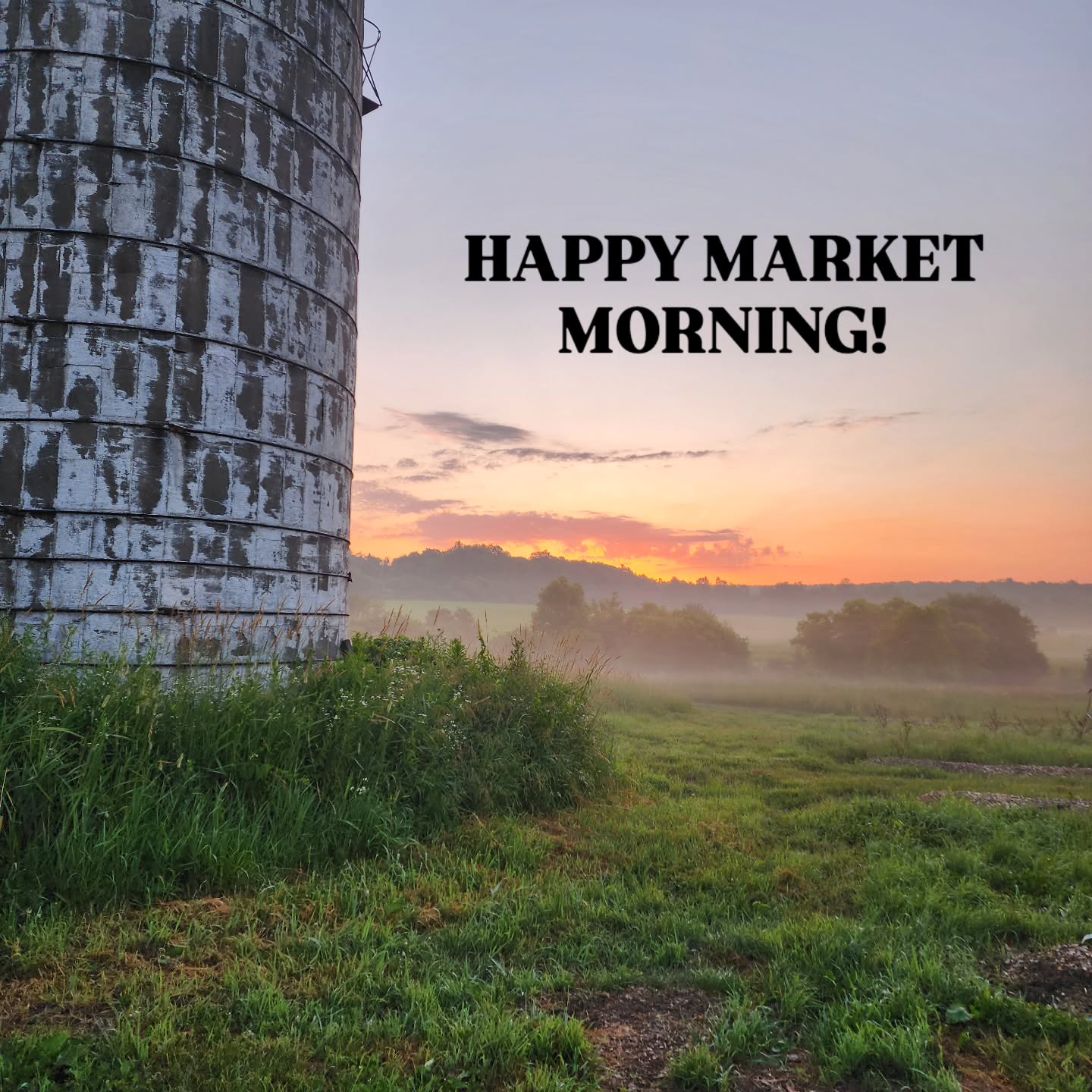See you at the Bemus Point Farmer's Market today!
I'll be there alongside 31 (double the number of vendors from last week!) local farmers and makers from 9 until 3!
Located in the Village Park near the Hotel Lenhart.
Come meet your local farmers!
