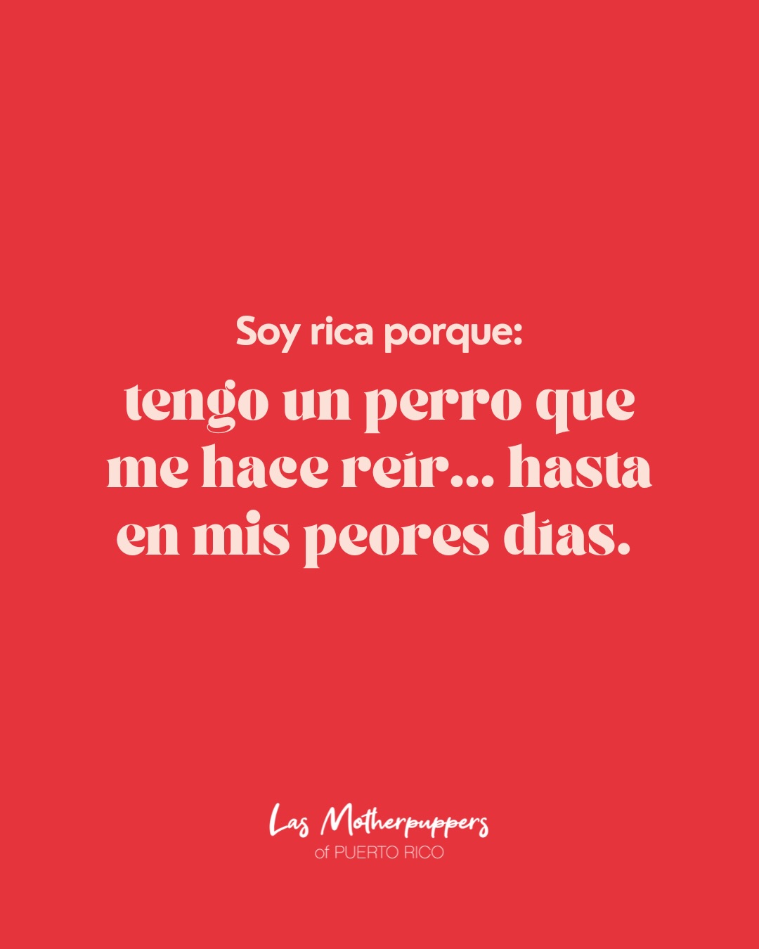 No todo el mundo entiende este tipo de riqueza... pero las dog moms sí. 🧡🐾
Ser dog mom significa reírte todos los días, compartir la cama (aunque sea en una esquinita), nunca volver a comer un snack en paz y sentirte la persona más importante del mundo cada vez que llegas a casa.
Y la verdad... no lo cambiaríamos por nada.
¿Cuál añadirías tú? 👇😂
#dogmomsofpr #puertorico #dogmomclub
#dogmomlife #dogsofpuertorico