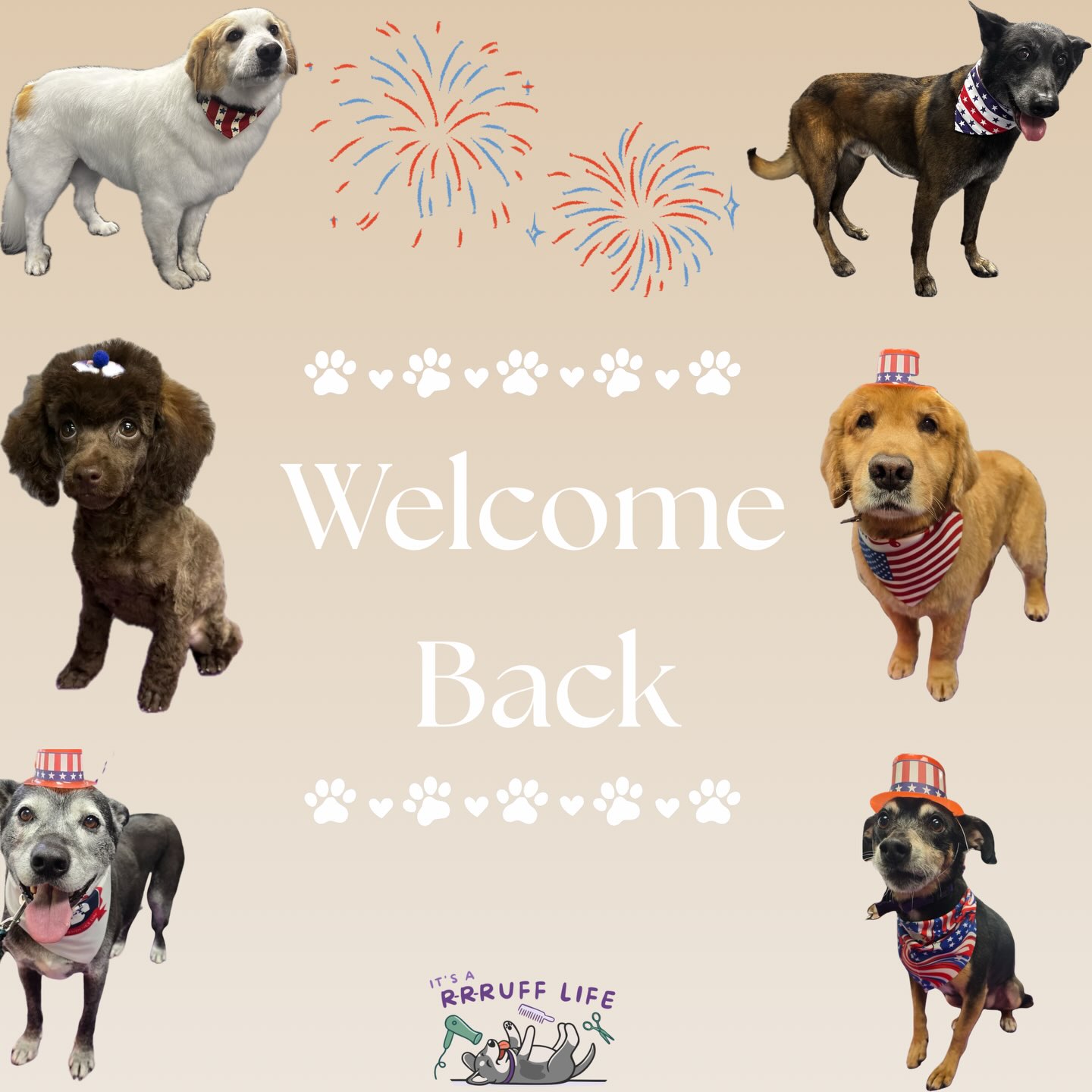 We hope everyone had a wonderful Fourth of July weekend and had a chance to celebrate with family and friends!🇺🇸❤️💙
We’re officially back open today and ready to see all of you again. Before we jump back into the week, we wanted to share a few of our favorite patriotic looks from the past few days. Thank you to everyone who stopped by and celebrated with us—we hope you had a safe and memorable holiday.
We can’t wait to see you soon!