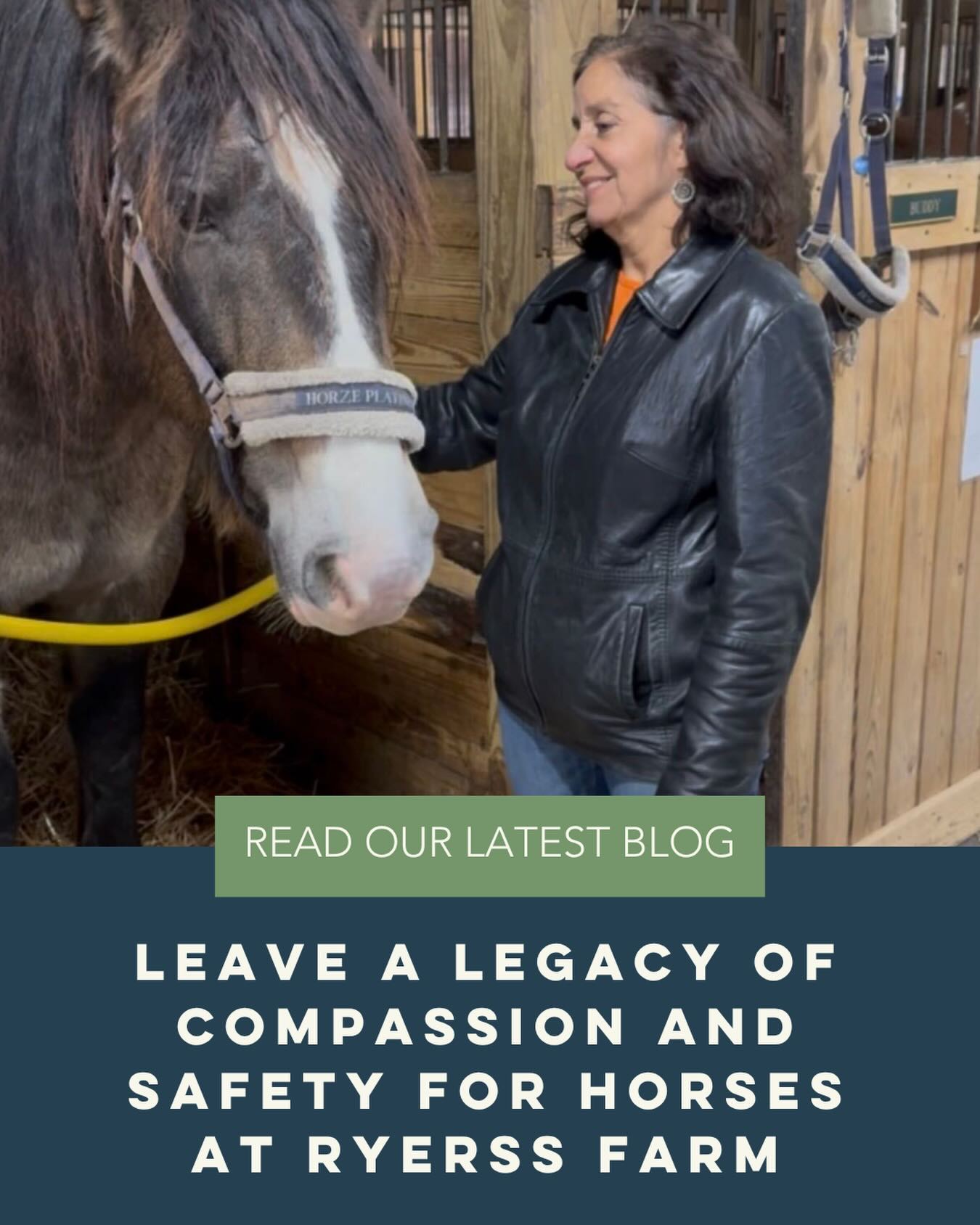 For more than 135 years, Ryerss Farm has been a sanctuary for aged, abused, and injured horses. 🐎💚 Through the Ryerss Legacy Society, supporters can help ensure that this tradition of care endures for future generations.
Planned gifts can be made through a will, trust, retirement account, life insurance policy, or other estate plans.
Read our latest blog to learn how a planned gift can make a lasting impact. Link in bio!