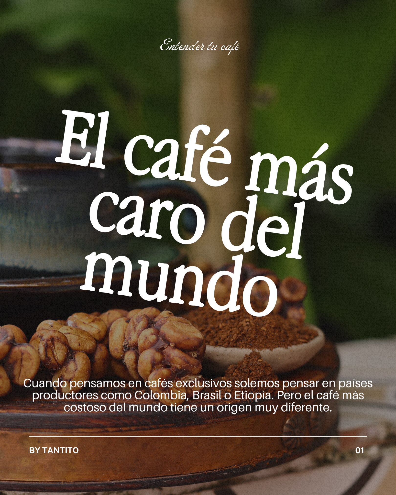 ¿Sabías que existe un café que puede costar cientos de dólares por kilo? Se llama Kopi Luwak y su peculiar método de producción lo hizo famoso en todo el mundo.
¿Lo probarías?
-
#kopiluwak #Tantito #TantitoCafé #granosdecafé #cafemexicano