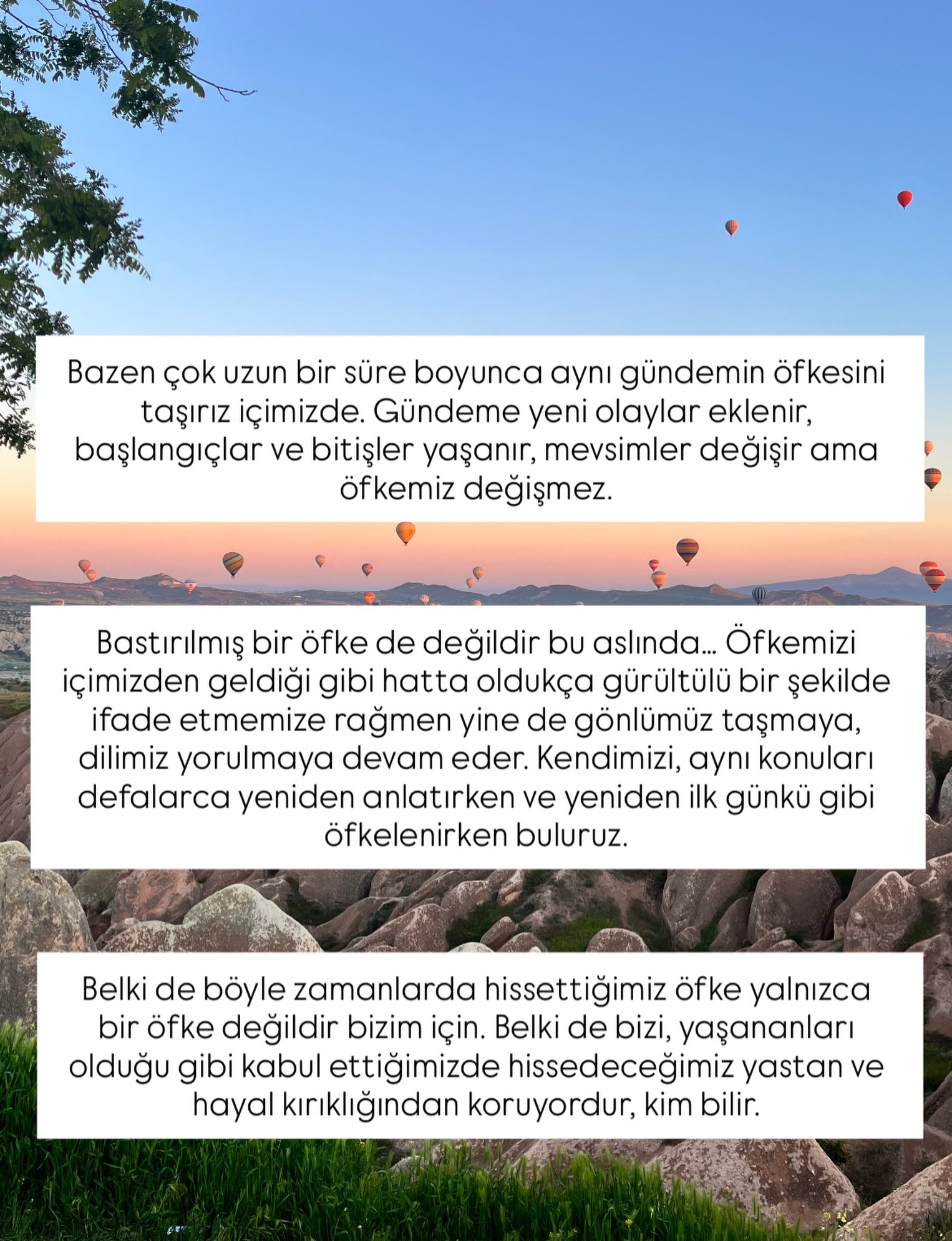 Öfkemiz bizi korumaya çalışıyor ama düşündüğü kadar korumuyor olabilir mi?
#psikoterapi #psikoloji #ofke #duygular #şematerapi