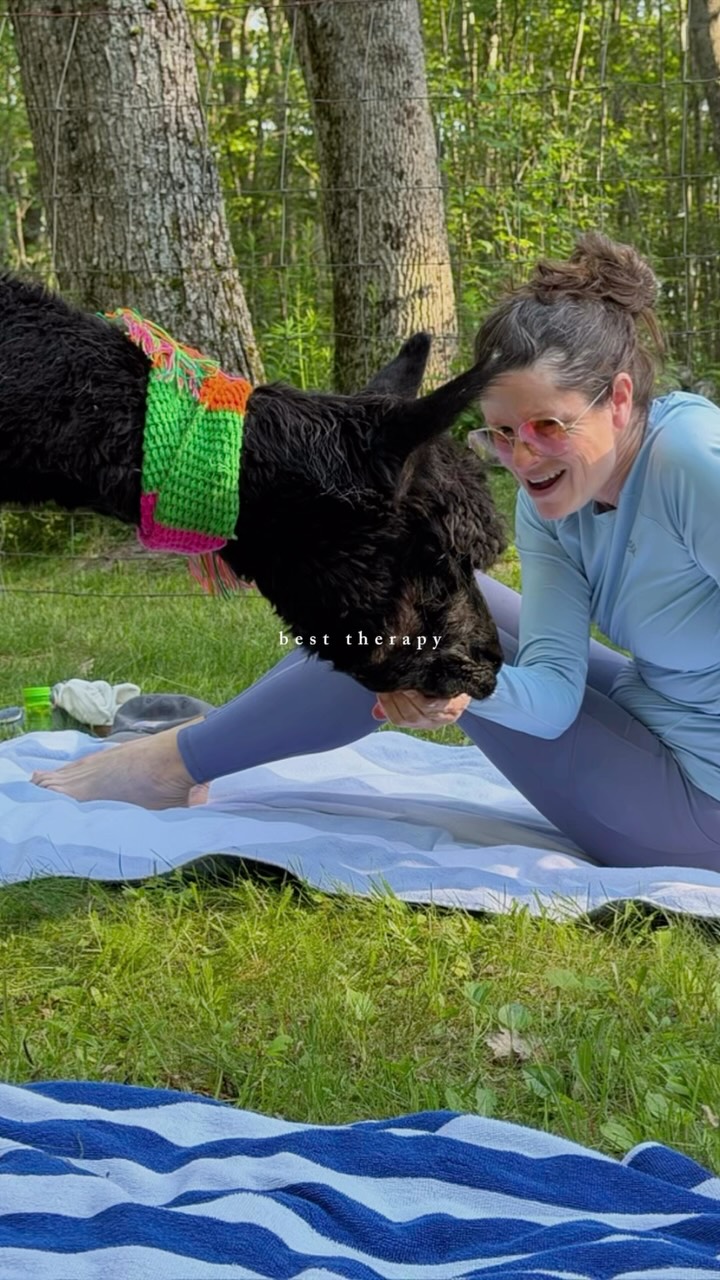 We had the best time at our sold-out Alpaca Yoga on Sunday! 🦙✨
A heartfelt thank you to everyone who joined us and made it such a special evening. And a huge thank you to Abi for leading such a heart-centered, beautiful class that left us all feeling grounded and inspired.
We can’t wait to do it again! 💚
#AlpacaYoga LulusBarn WestportIsland #MaineYoga #YogaCommunity #FarmYoga YogaInNature #CoastalMaine