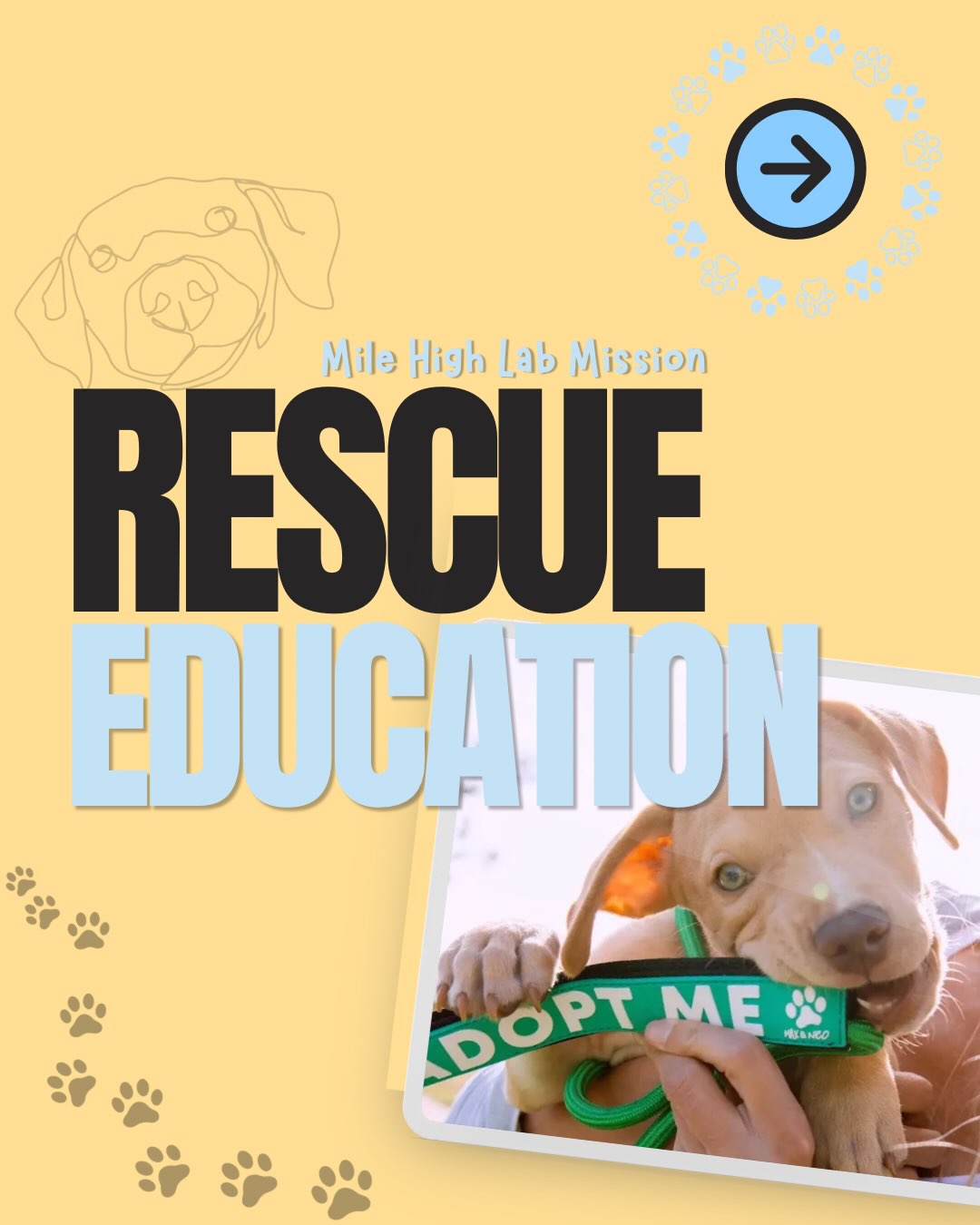 Take a seat, class is in session! 👩🏻🏫
Decompression is an incredibly important factor when it comes to the rescue life cycle. It’s not a luxury, it’s a lifeline. 🛟 After surviving stress and uncertainty, dogs deserve all the security, love and healing someone can give and we’re here to help guide you through the process.
Stress and anxiety, behavior adjustments, trust building and physical recovery are all completely normal expectations for a pup that has just been rescued. Swipe to stay informed!
➡️Whether we are breaking cycles, building confidence, or empowering our community to step up alongside us, we thank you for adopting and fostering with Mile High Labs!
🔜For more information on decompression and fostering with MHLRM, comment FOSTER below and we will send resources directly to you!💛