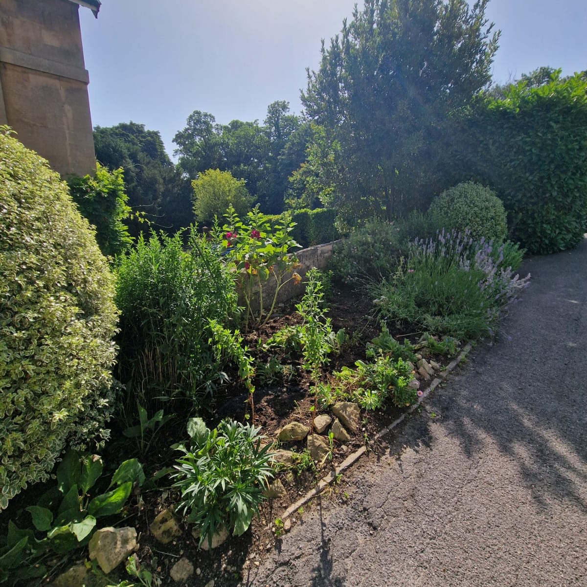 Commercial gardens in and around Bath 🌿🏢
Here’s just one of the many commercial properties we’re proud to maintain across Bath and the surrounding areas 👌
Keeping commercial grounds looking their best takes regular care, and that’s exactly what we’re here for. From grass cutting and lawn maintenance 🌱✂️ to weeding, hedge trimming, border maintenance, seasonal tidy-ups, and general grounds care, we make sure every property stays clean, tidy, and welcoming all year round.
A well-maintained exterior creates a fantastic first impression for customers, visitors, tenants, and staff alike 🏡✨ That’s why our team takes pride in delivering a reliable, professional service with attention to every detail.
Whether it’s a business premises, pub, office, holiday let, apartment block, or commercial site, we can tailor a maintenance programme to suit your property and keep everything looking its best 💪🌿
Looking for a reliable commercial grounds maintenance company? We’d love to hear from you! 👇
M.J.B Group Ltd
Tree & Garden
📱 01225 - 941139
📧 info@mjbgroup.co.uk
💻 www.mjbgroup.co.uk
#commercialgardening #groundsmaintenance #grasscutting #bath #gardenmaintenance