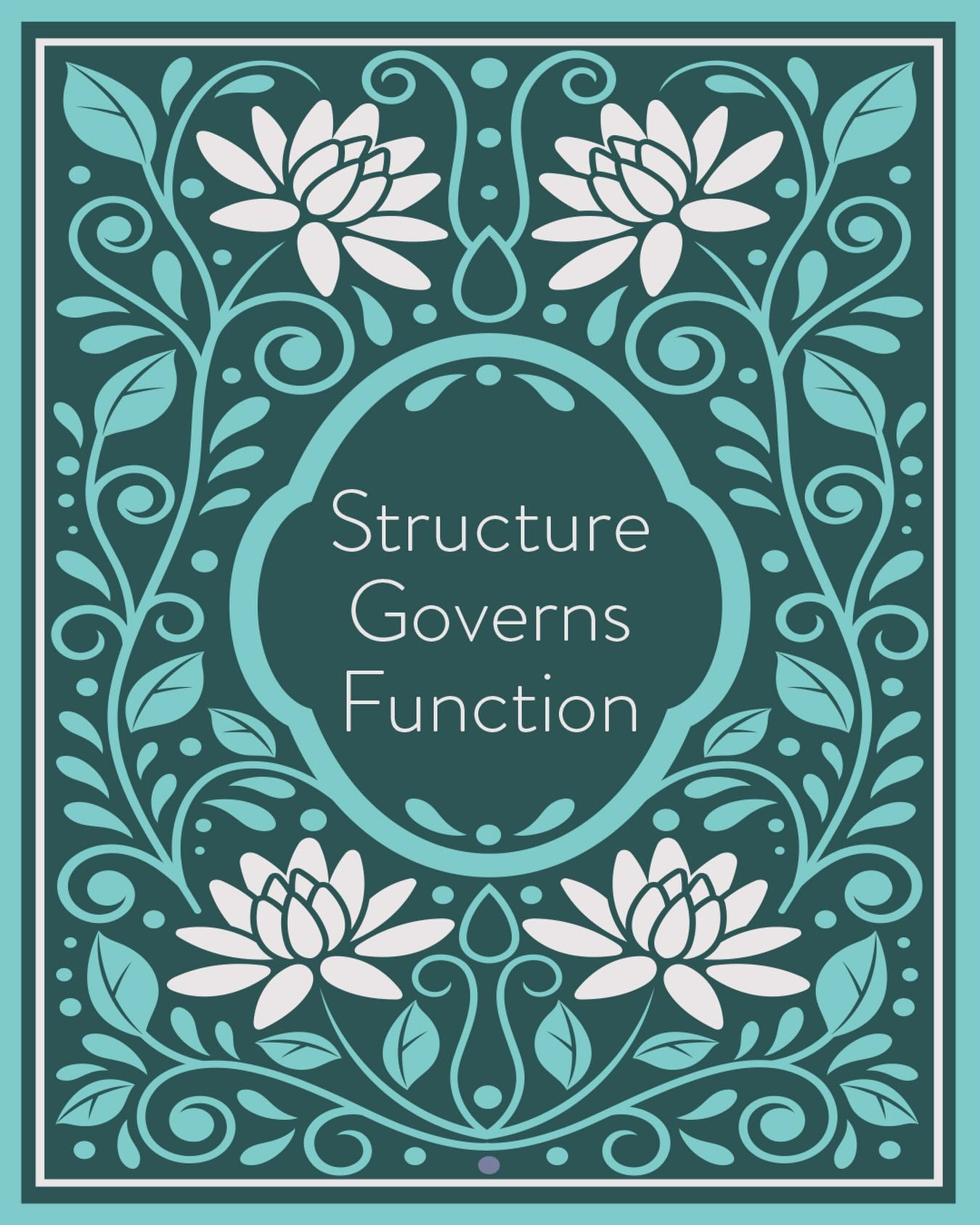 Schedule an appointment for you and your whole family with Dr. Katrina today at Triada Chiropractic!
>>> triadachiropractic.janeapp.com
#friscotx #structuregovernsfunction #naturalhealing #getadjusted #pediatricchiropractor