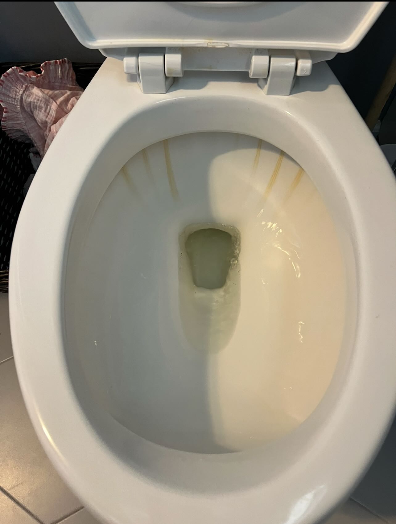 If your bathroom still smells “off” after cleaning…
There’s buildup somewhere.
Around the toilet base.
Under the toilet seat lid.
All around the bowl.
Bottom of the toilet floors. (Yes we get the pee that’s stuck in corners by those little knobs)
We clean the areas most people miss… and the areas most people don’t want to touch
🗽Locally owned. Born and raised on Long Island.
📍Serving Nassau County, Suffolk County & the Hamptons.
Call for a Nassau County or Suffolk County bathroom deep clean.
516-234-0424
cornertocornercleaningny.com