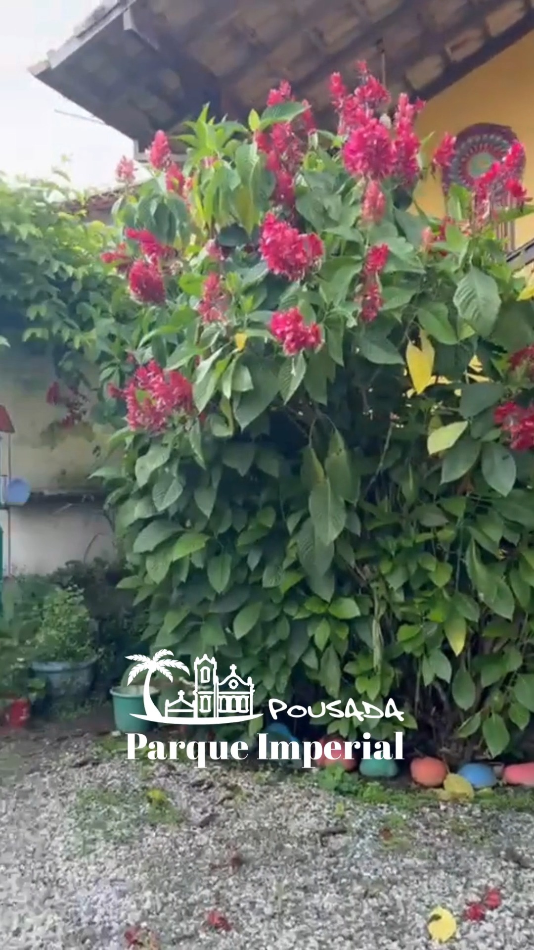 🏡💙 Sinta-se em casa. Sinta-se em paz.
Na Pousada Parque Imperial, cada detalhe foi pensado para que você desacelere, relaxe e aproveite o melhor de Paraty com conforto e tranquilidade.
Aqui, o clima acolhedor, os jardins cheios de vida e o carinho no atendimento fazem você se sentir em casa desde o primeiro momento.
Porque viajar também é encontrar um lugar onde a alma descansa. ✨🌿
Venha viver dias de paz na Pousada Parque Imperial.
#PousadaParqueImperial #ParatyRJ #SintaSeEmCasa #HospedagemEmParaty #PazETranquilidade #PousadaComCharme #CentroHistoricoParaty #FeriasEmParaty #TurismoParaty #VemPraParaty #ParatyBrasil #DescubraParaty #Aconchego #BemReceber #PousadaFamiliar #Natureza #ViajarFazBem #ParatyEncanta #DescansoPerfeito #DetalhesQueEncantam