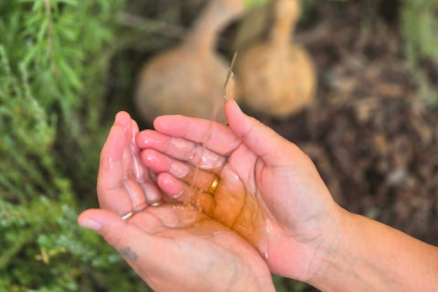 Ngā Tohu Āio will be with us at Te Ao Mārama - Tauranga Library offering a special community healing clinic as part of our Matariki programme. Come along for a nurturing experience featuring purea, mirimiri, poultices, rongoā and more.
📍 Ngā Tohu Aio – Traditional Māori Healing Clinic
📍 Saturday 18 July, 1.00pm – 3.00pm
📍 Te Ao Mārama - Tauranga Library, 21 Devonport Road, Tauranga
For more info see 'Whats On' at mymatariki.co.nz
#Matariki2026 #TeTaurangaoNgāWaka #MyMatariki #TaurangaMoana #WesternBay #MatarikiCelebration #WhakapapaToTheStars #Ururangi #MatarikiHerengaWaka
