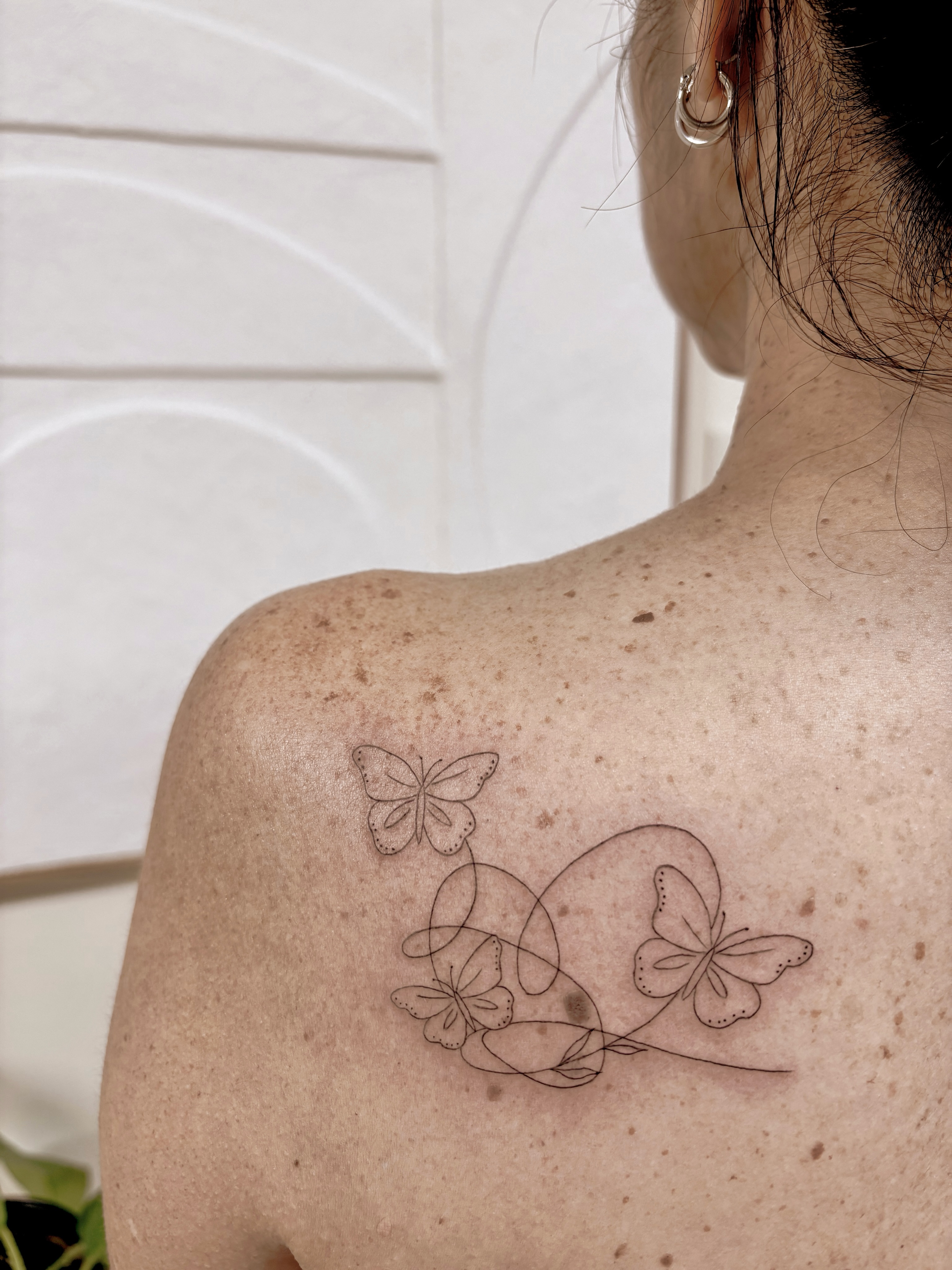 🦋🦋🦋