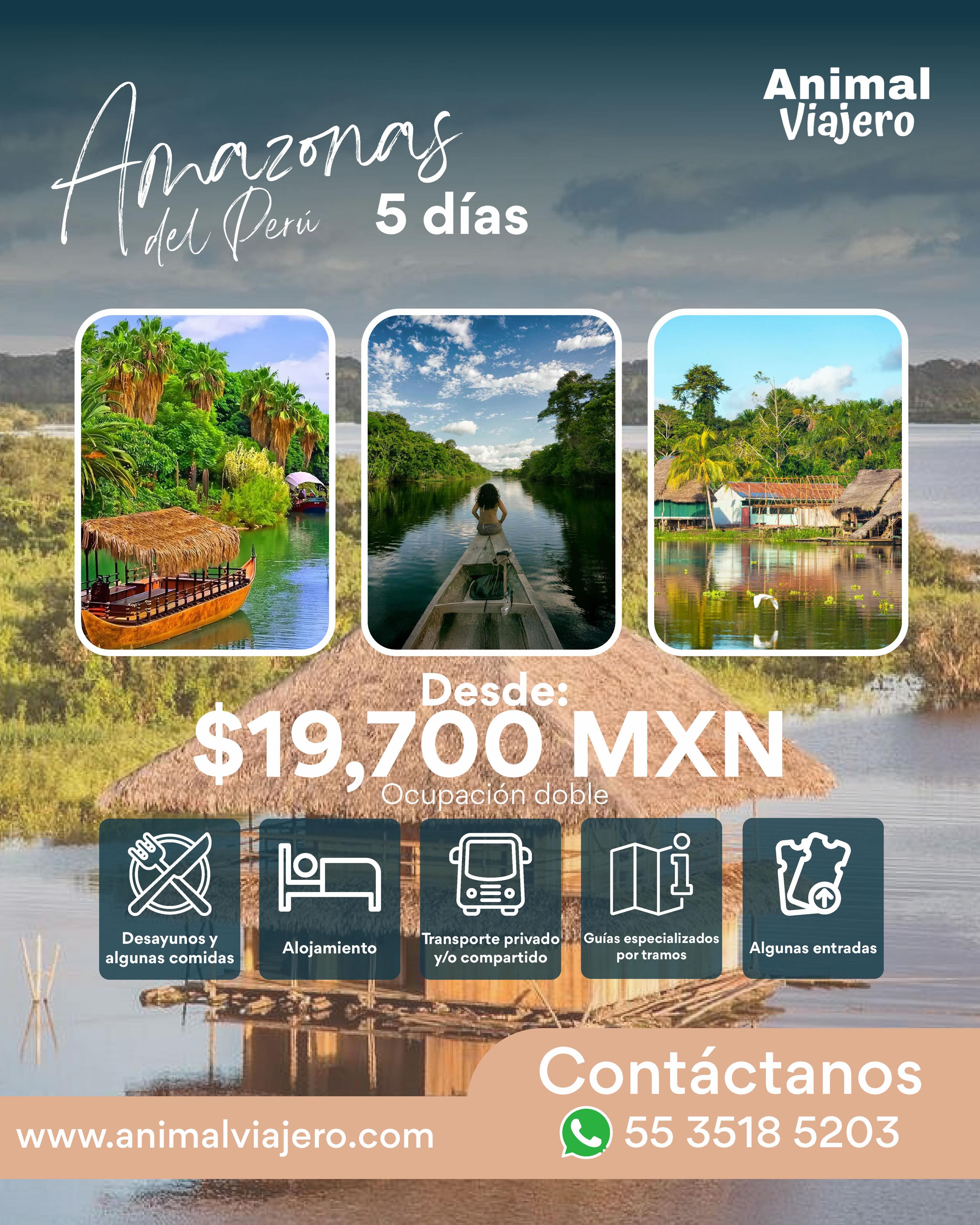 ¿Y si tu próxima aventura no fuera una playa… sino la selva más impresionante del planeta? 🌎🌿
Explora el Amazonas del Perú, navega por sus ríos, conoce comunidades locales y vive una experiencia que recordarás toda la vida.
🛶 5 días desde $19,700 MXN.
#Amazonas #Perú #AnimalViajero #ViajaMás #ExperienciasÚnicas Selva ViajerosMéxico
