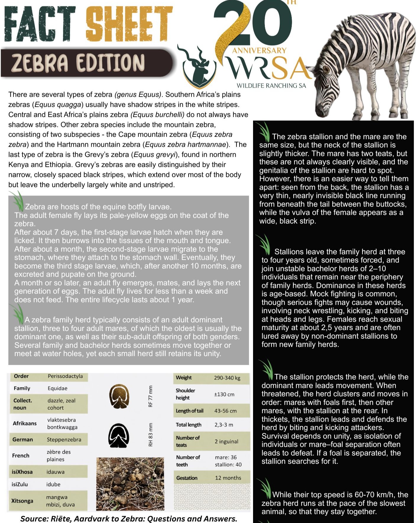 Zebras are more than just their striking black-and-white stripes, powerful legs, and unique behaviour. This week’s Tuesday Trivia challenged what you know about zebras — explore a few fascinating facts about these remarkable animals.
#WRSA20Years #zebra #GysPitzerMotoring