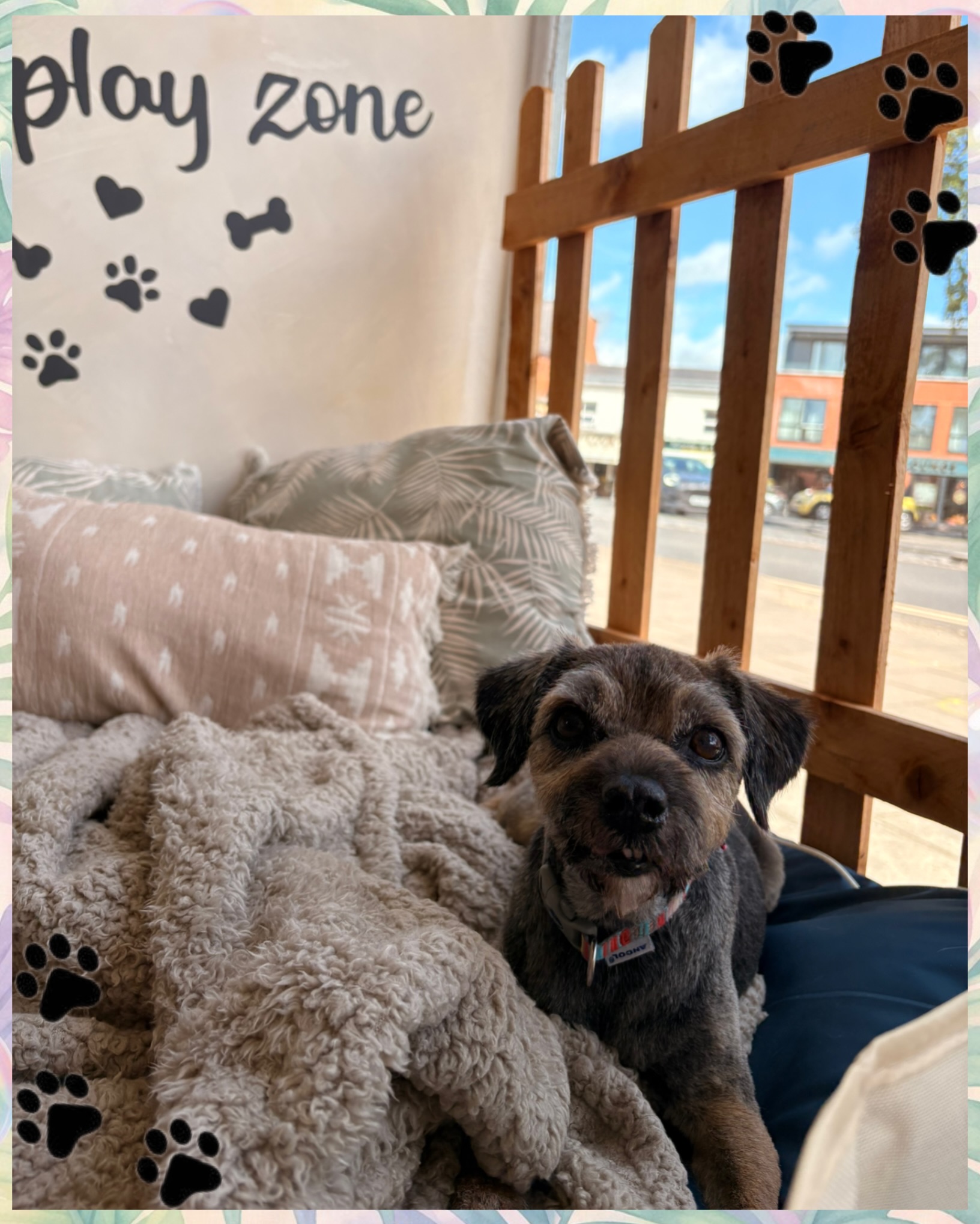 🐾 July appointments are filling up! 🐾
We’re slowly getting booked up for the rest of July, with only a few appointments left in the last week of the month.
To avoid missing out, we recommend booking at least 4 weeks in advance and securing your next two appointments to keep your pup looking and feeling their best. ✂️🐶
We’re also still looking for a Dog Groomer or Bather to join the Knine Dog Studio team! If you’ve seen our advert, we’d really appreciate it if you could share it with anyone who might be interested. ❤️
Finding the right person means we’ll be able to open up more appointment spaces and welcome even more furry friends.
Thank you for your continued support—it means the world to our small business! 🐾💙
#KnineDogStudio #DogGrooming #DogGroomer #DogBathing #supportlocal