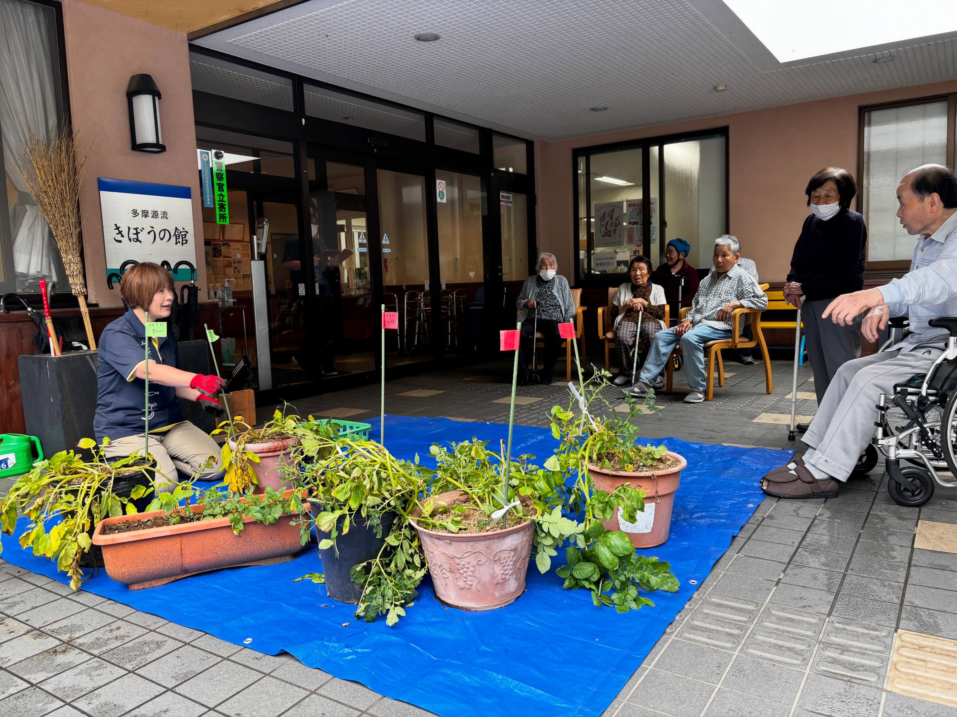 こんにちは!
小菅村デイサービスです🙋♀️
今日は春に利用者さんと丸プランターに植えたじゃがいもを収穫してみました🥔
何個出来ているかみんなでクイズしながら楽しく過ごしました😆
プランターの割にはよく採れたのかなと思います👩🌾
きっと午後のおやつには美味しいじゃがいもが食べれると期待しています🤤
残りのプランターはまた後日…🤩
#小菅村
#小菅村社会福祉協議会
#デイサービス