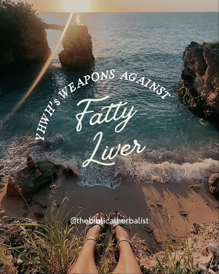 Want them all together? SCROLL to the end or just say HEAL! ๐๐ผ๐ฉต
Want to work WITH your body as you embrace biblical medicine to overcome fatty liver and insulin resistance? Look up the Blue Zones Lifestyle ๐
HALLELUYAH! He has given us ALL we need to heal and overcome! ๐๐ผ๐๐ผ๐๐ผ๐๏ธ
๐ P.S. First run is already SOLD OUT! Making more as fast as I can ๐ฅฐ
#emeraldglorywellness #thebiblicalherbalist #fattyliver #biblicalhealing
