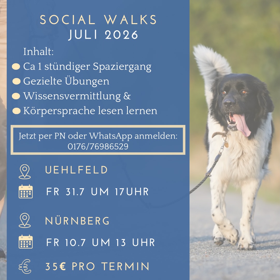 Auch im Juli erwarten euch wieder Termine für Socialwalks in Nürnberg und Uehlfeld.
Meldet euch gerne per PN oder WhatsApp an ♥️