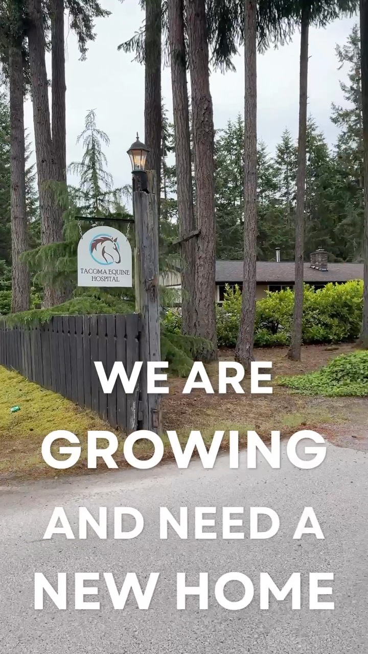 The time has come for us to find a bigger property to expand our haul-in service offerings and house our growing team! We are looking to lease or buy, ideally in the Clover Creek - Waller - Summit area due to zoning. Do you have a property that might fit the bill? We’d love to hear from you! DM or call/text 253-535-6999. 🏡
#horsevet #property #farm #househunting #newhome