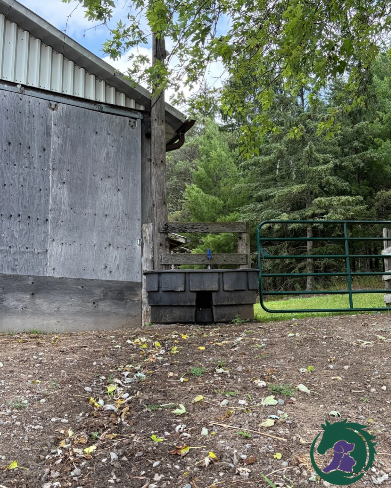 #TrackTipTuesday #TTT Use your property’s natural landscape to encourage movement. If you have a hill, consider placing your water trough at the top. By spreading resources like water, hay, and enrichment throughout the track, horses are naturally encouraged to move more throughout the day.
#movement #enrichment #horseenrichment