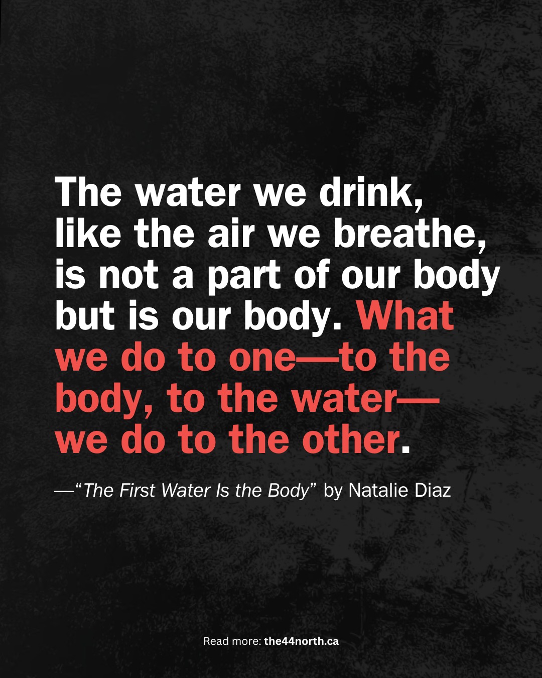 In the latest edition of Poet's Corner, Senior Editor Mikaela Brewer reflects on 'The First Water Is the Body' by Natalie Diaz, a poem that explores the inseparable relationship between body, land, memory, language, and identity.
Through a thoughtful reading of Diaz's work, Mikaela considers how poetry can challenge our own assumptions, while reminding us that the stories we carry are connected to the places we call home.
Brewer’s piece is an invitation to slow down, reflect, and return to the poem again and again.
Read the full write-up here: 🔗 LINK IN BIO 🔗
👉 The 44 North is a digital bi-monthly publication dedicated to informing, empowering, and amplifying youth voices. Want to write for us or support young storytellers? Check the 🔗 LINK IN BIO 🔗👈