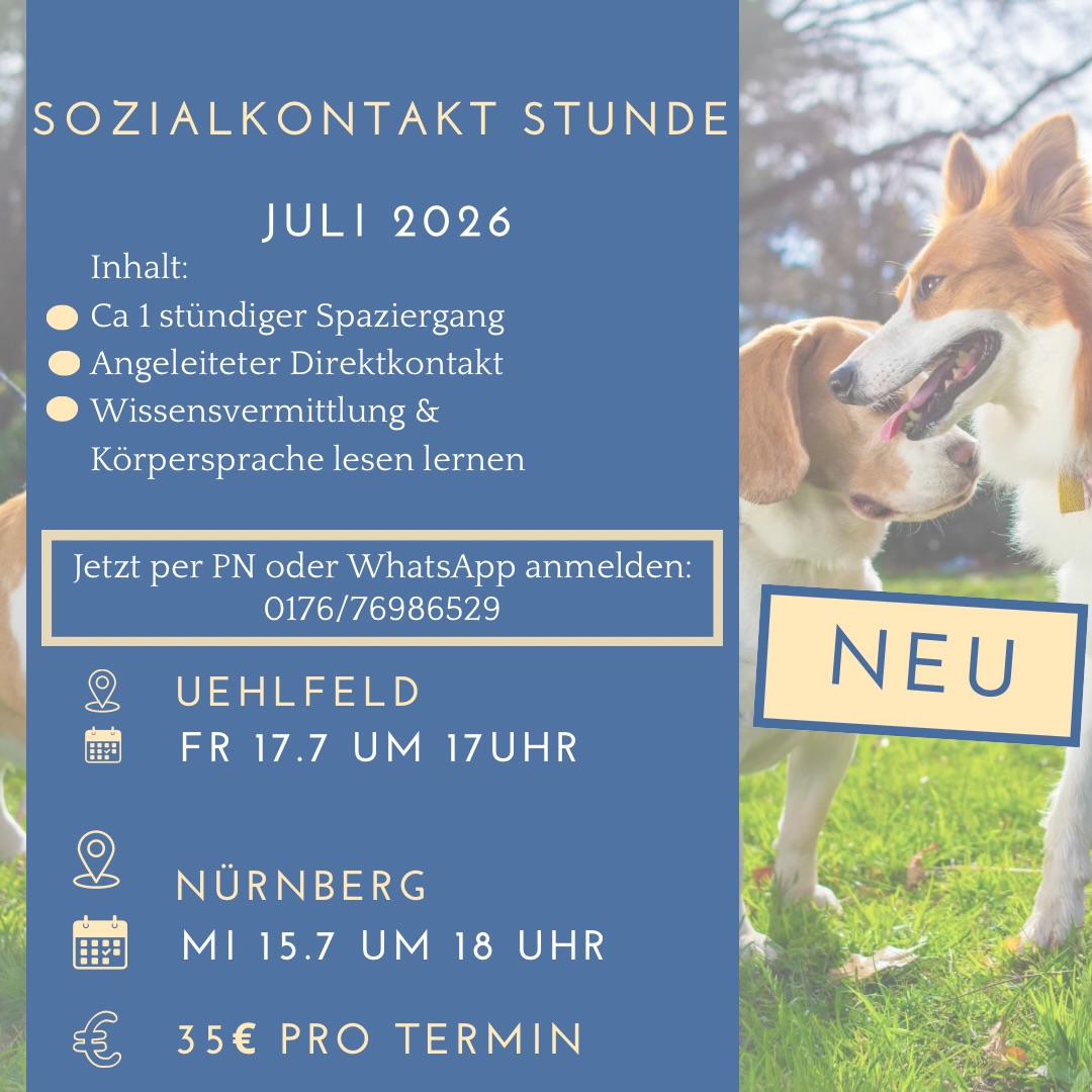 💡Bei diesem Social Walk ist Kontakt unter den Hunden möglich, aber nicht zwingend nötig.
➡️Wenn Kontakt aufgenommen werden darf, achten wir auf eine angemessene ruhige Kontaktaufnahme, fokussieren uns auf friedliche Interaktionen und üben die Rückorientierung zum Menschen.
➡️Wie beim Social Walk ohne Kontakt steht Gelassenheit bei der Anwesenheit anderer Hunde im Vordergrund.
➡️Ihr könnt euch gerne auch anmelden, wenn ihr keinen Kontakt mit anderen Hunden wollt, der Hundekontakt ist nicht obligatorisch.
Anmeldung gerne per PN oder WhatsApp 🐕