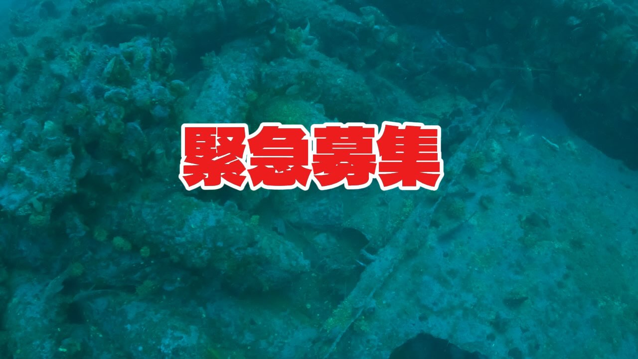 📅 募集状況(最終警告レベル)
・8月1日(土) → キャンセル発生 → 残り2枠のみ/今この瞬間が勝負
・8月8日(土) → 満席(キャンセル待ち)
🌊【小樽沖・沈船ダイブ/中〜上級者向け】
1日の枠が“突然”空きました。これ、本当にすぐ埋まります。
見ている方、迷う時間はありません。
レクリエーション限界付近の沈船へ、8分間のタイトな集中ダイブ。
流れ・深度・残圧・中性浮力の自己管理ができる方のみ。
暗所フォトはライト必携。
「小樽沈船 8/1希望」→ DMで即確定。
先着2名、埋まり次第終了。
#北海道ダイビング
#札幌ダイビング
#小樽ダイビング
#積丹ダイビング
#ダイビングライセンス北海道
札幌ダイビングライセンス
ダイビング初心者北海道
北海道ダイビングショップ
ダイビングスクール北海道
PADIライセンス北海道
小樽沈船
北海道沈船ダイブ
沈船ダイブ北海道
札幌ダイビング沈船
積丹沈船