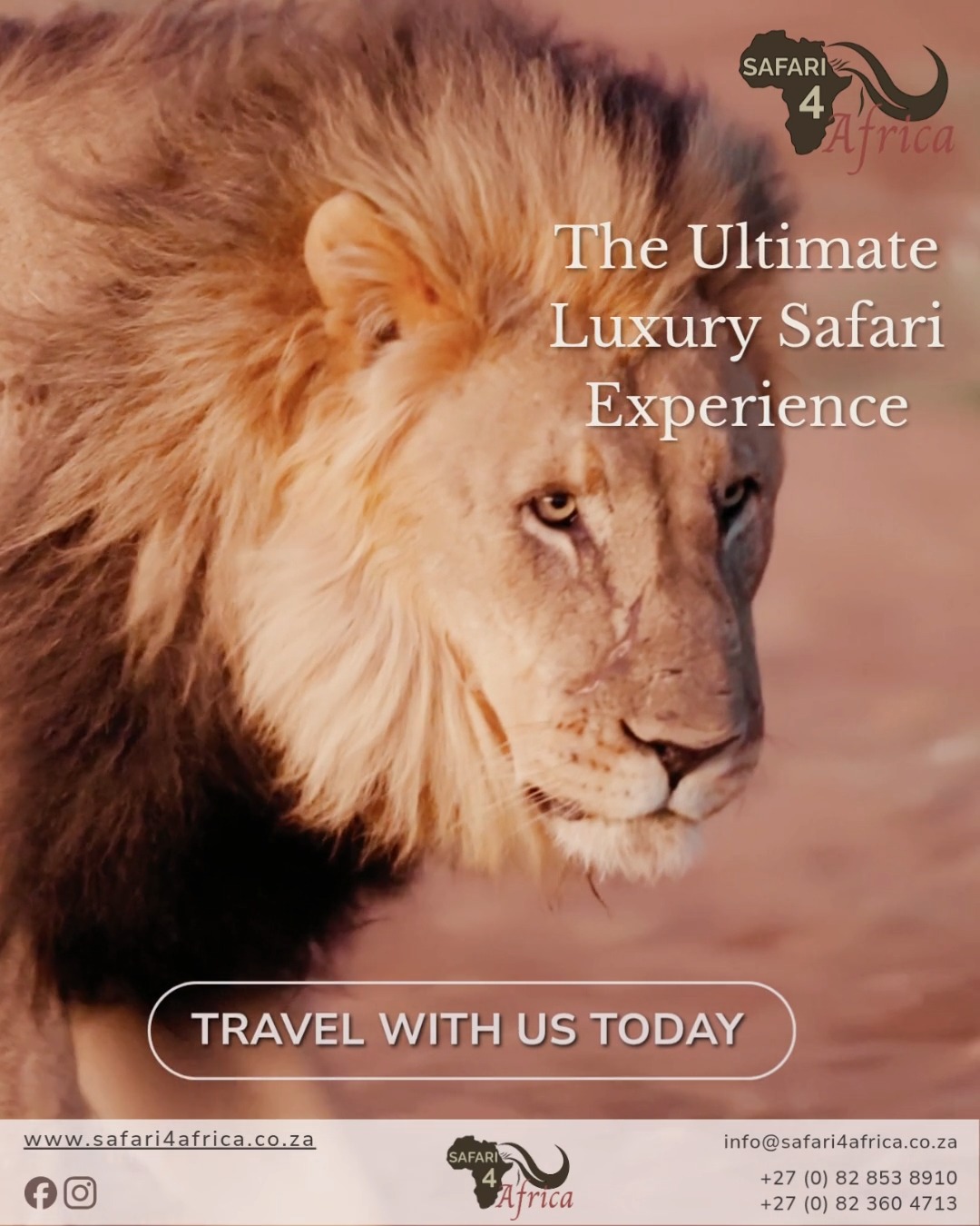 Safari4Africa offers discerning travellers exclusive access to Southern Africa’s most prestigious safari destinations. Our focus is on delivering sophisticated, world‑class experiences from start to finish.✈️🐾
#Safari4Africa #Safari
#LuxuryTravel #LuxurySafari #BespokeTravel #ExclusiveTravel
#SafariExperience #AfricanSafari #WildlifeTravel
#SouthernAfrica #ExploreAfrica #AfricaTravel #VisitAfrica #SafariAfrica
#LuxuryLodge #SafariLodge #LuxuryCamp #FiveStarTravel
#InstaTravel #TravelInspiration #LuxuryEscapes
#krugernationalpark #capetown
#southafrica
#namibia
#botswana
#zimbabwe