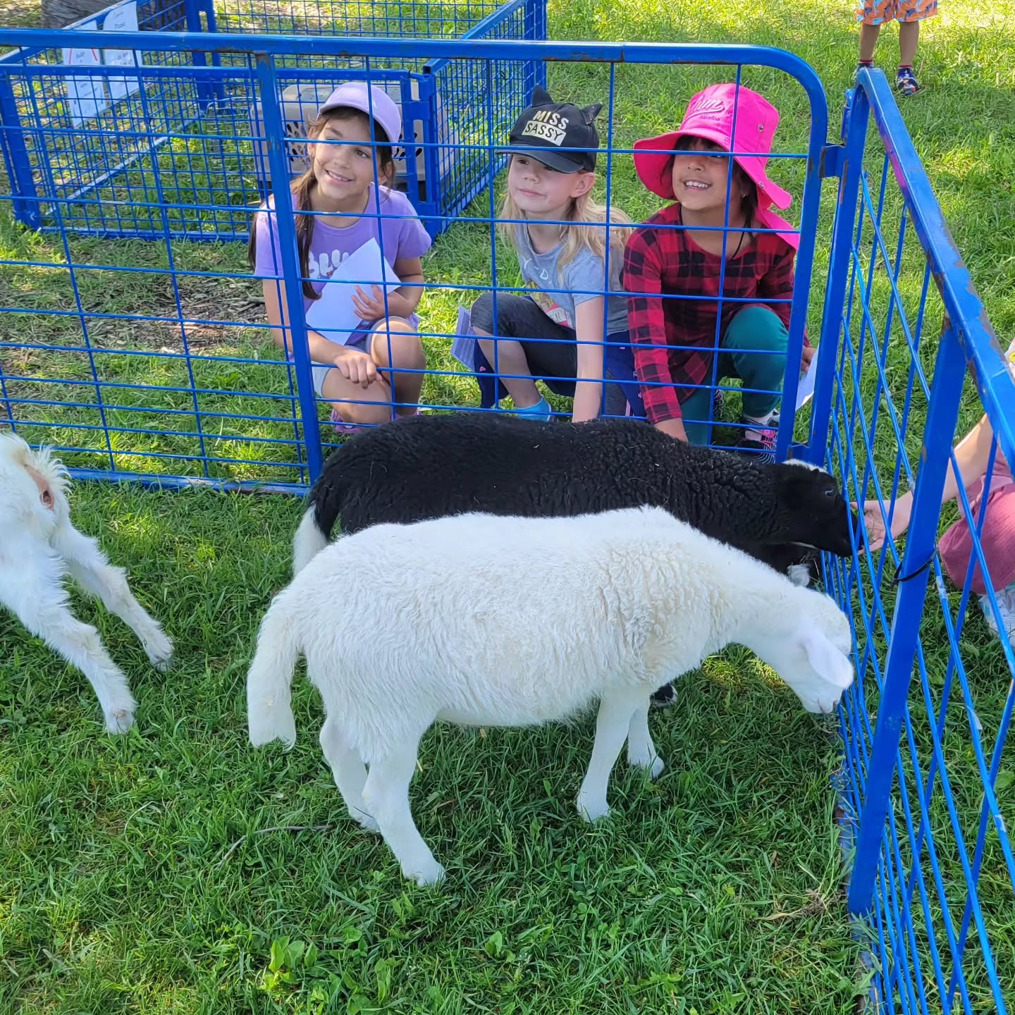 Field Day was a blast! Students enjoyed the petting zoo, bouncy obstacle course, face painting, car pull, water events, and so much more. Families came out for a hot dog lunch, and we always love it when former students pop by and say hi!