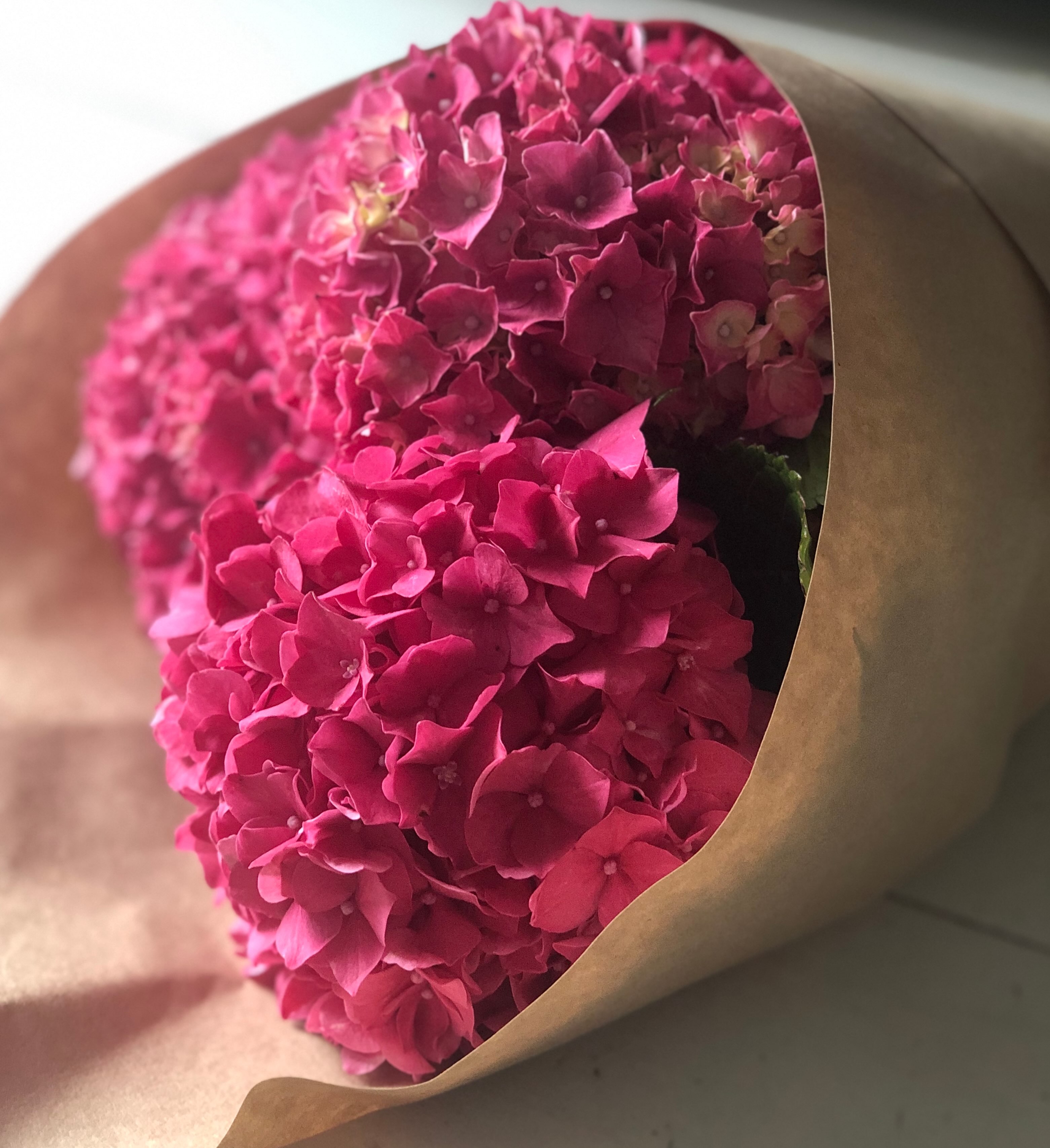 The best, most fearless, love stories always start with flowers, don’t you think? 😜 😘
Feels like the day for bouquets of blooms 👰♀️